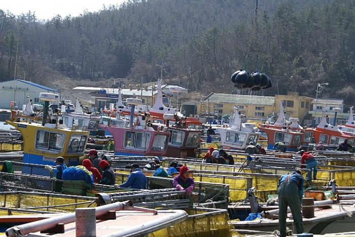 진도군 문화관광해설사 장재호님을 칭찬합니다. 첨부#5