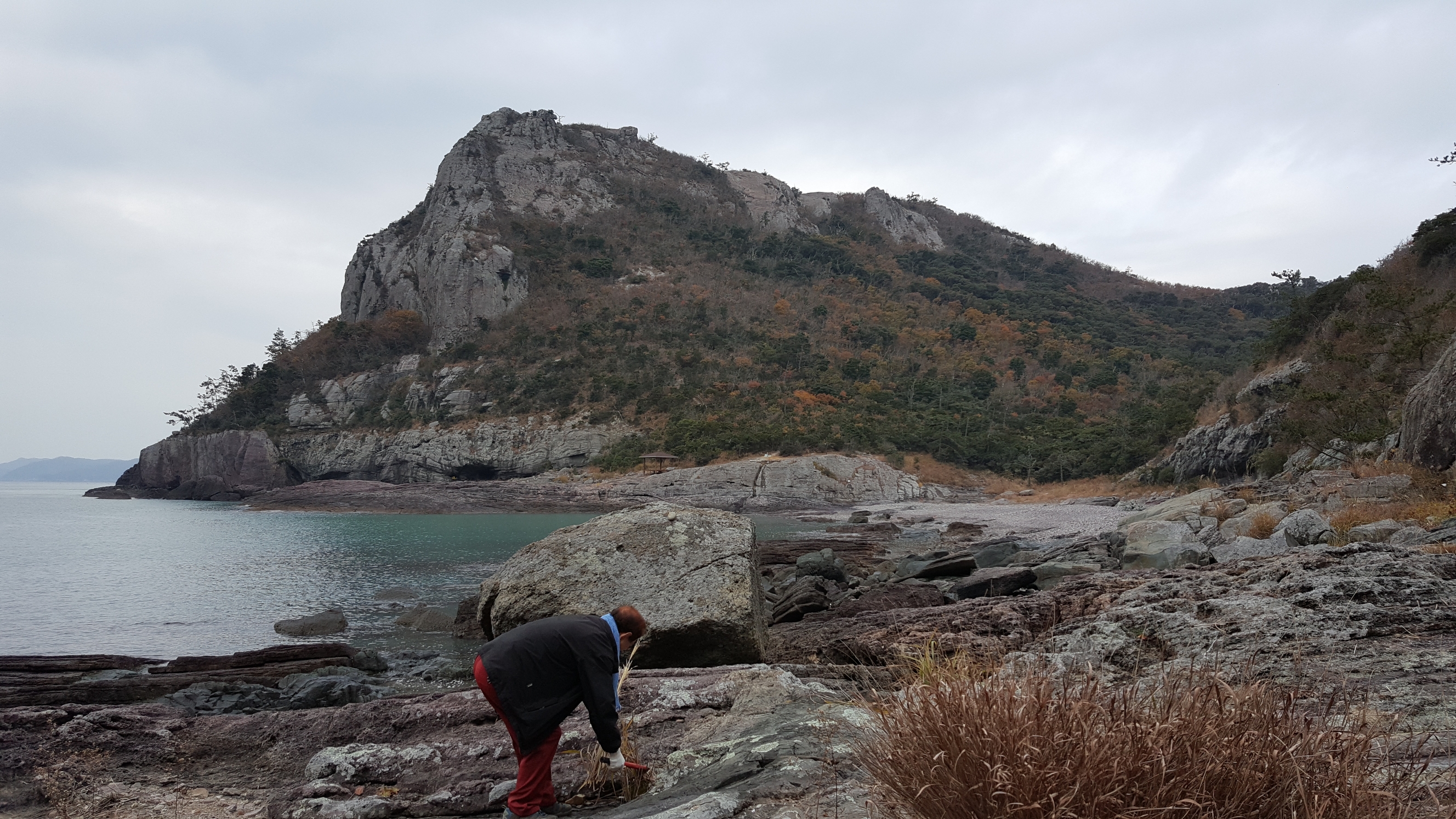 접도 작은여미해안 정화활동 감사드립니다. 첨부#1