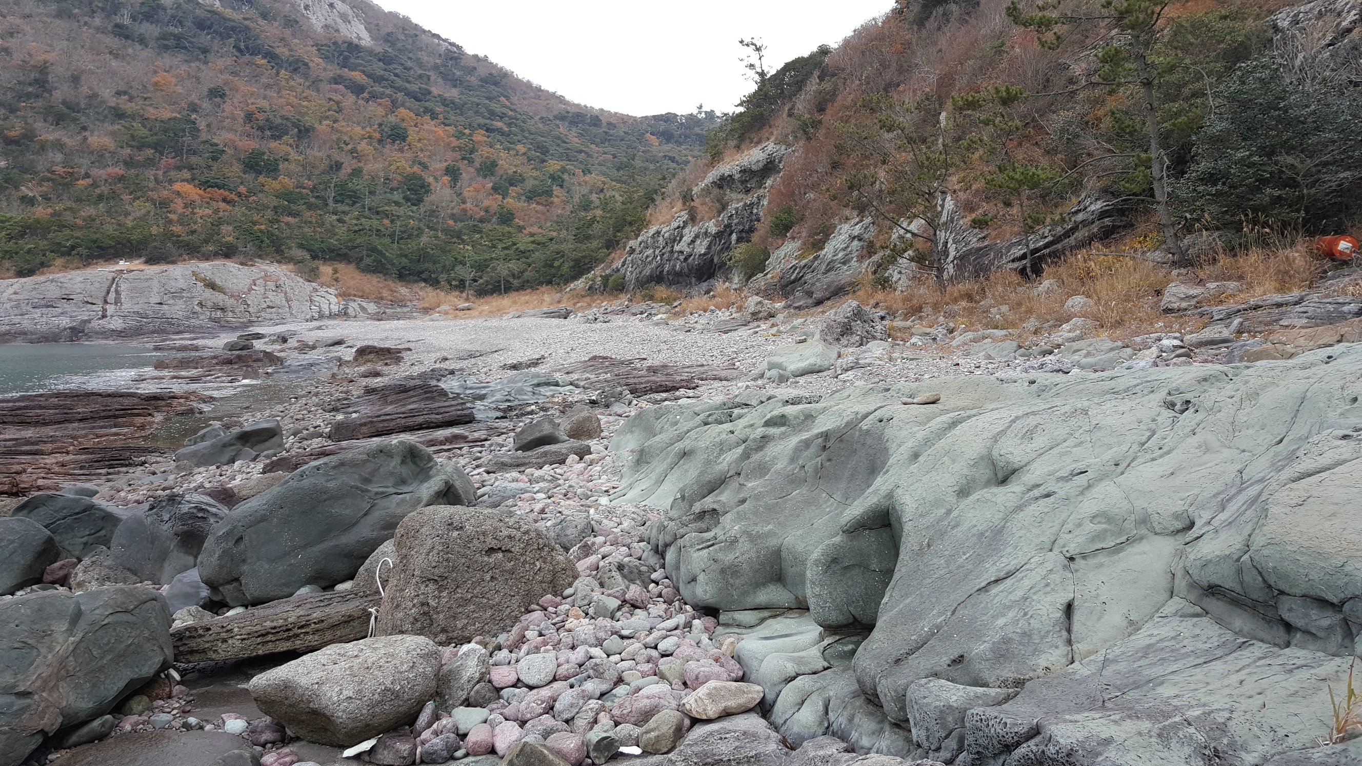 접도 작은여미해안 정화활동 감사드립니다. 첨부#2