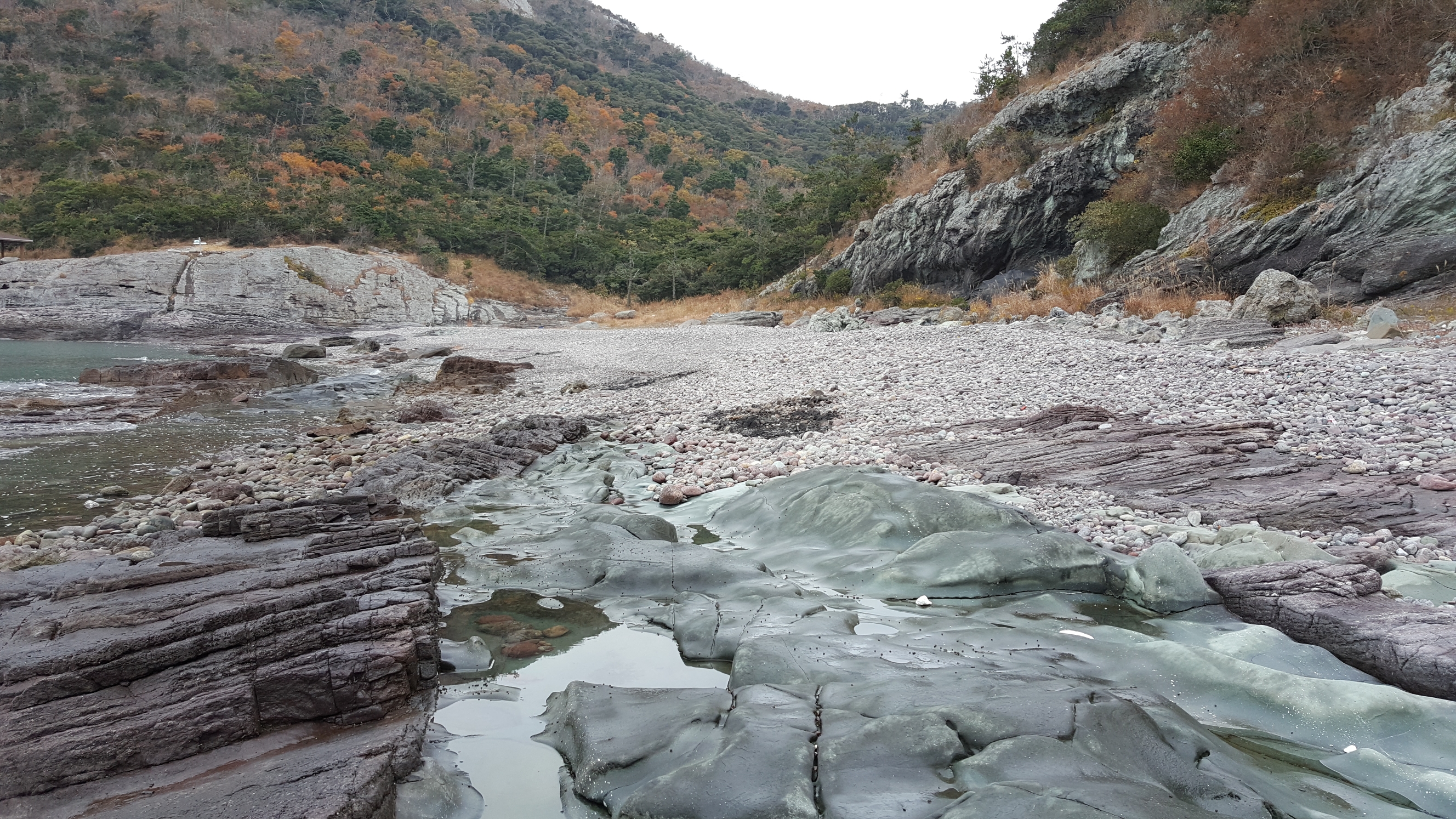 접도 작은여미해안 정화활동 감사드립니다. 첨부#3
