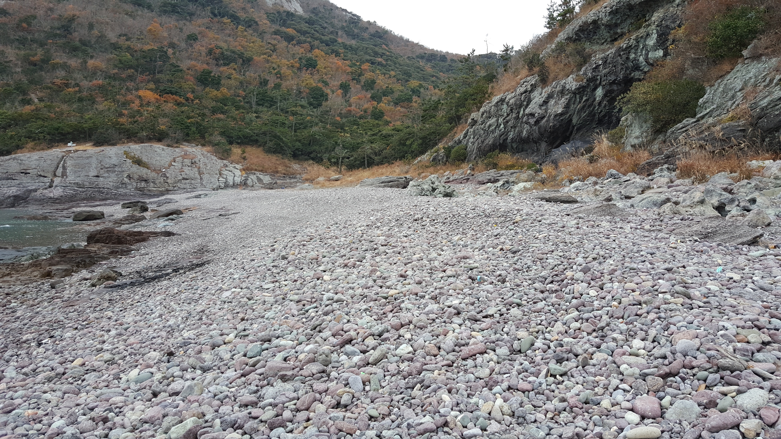 접도 작은여미해안 정화활동 감사드립니다. 첨부#4