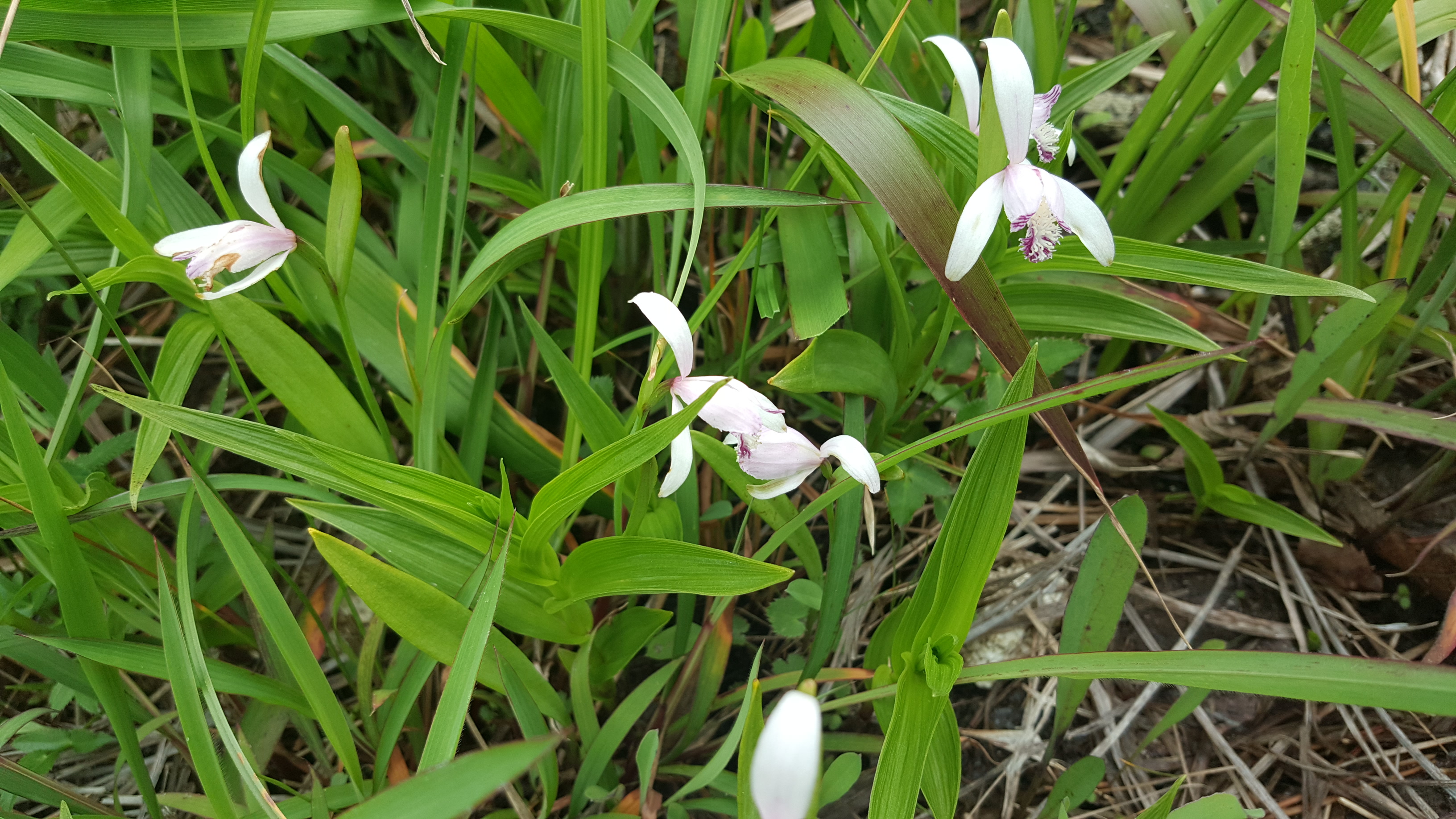진도 접도웰빙길은 후손에게 물려줄 자산입니다. 첨부#5