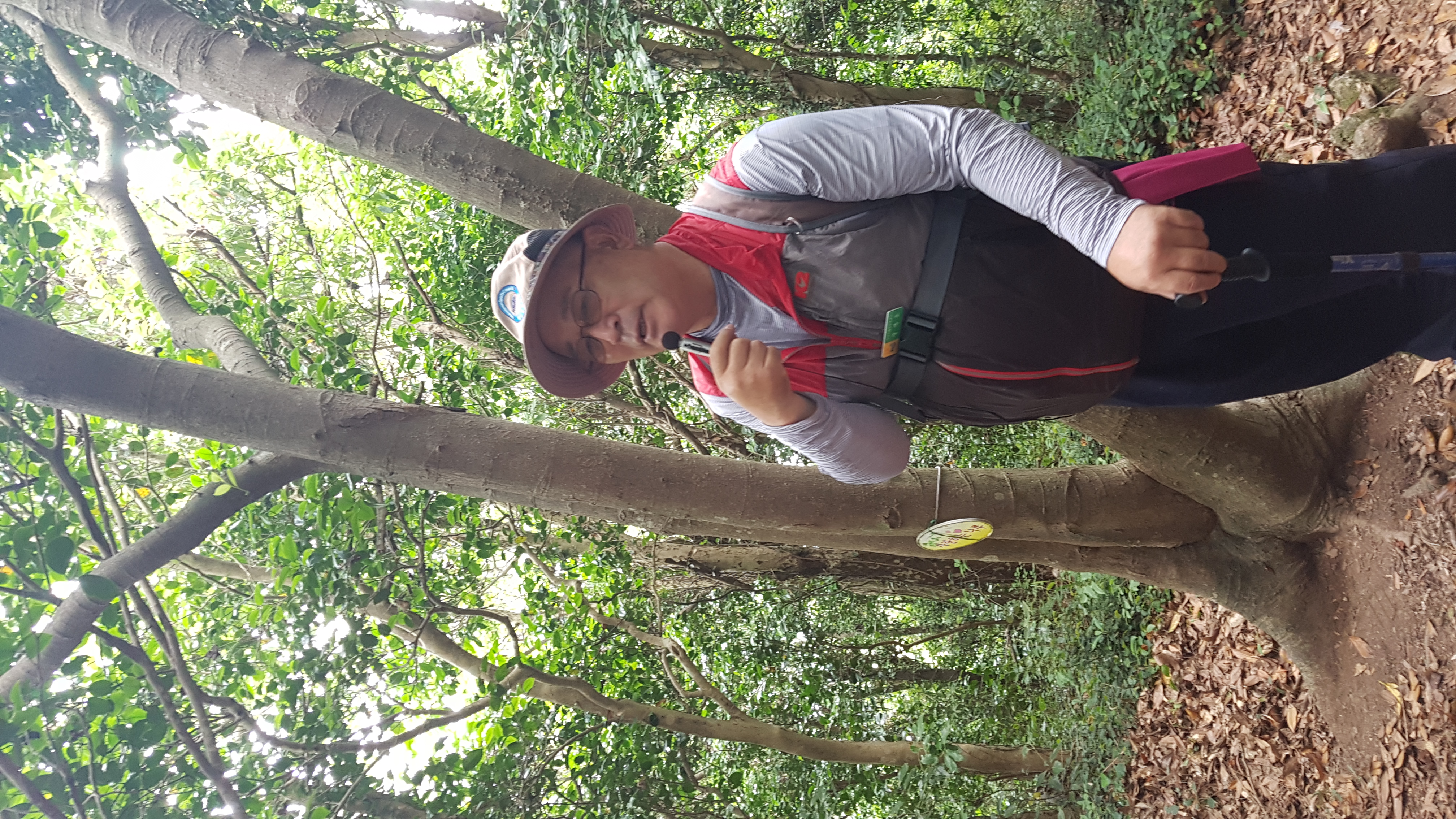 접도의 숲 할아버지 존경합니다.^^ 첨부#2