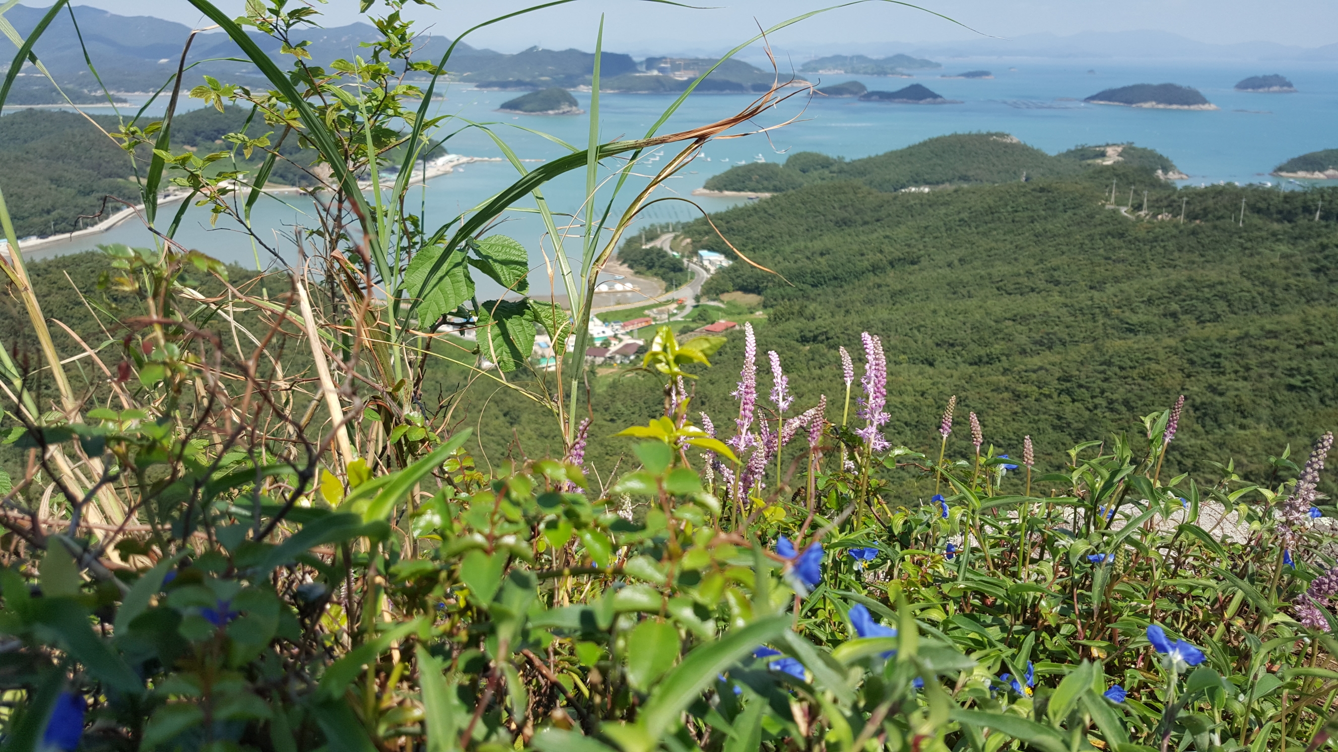 접도웰빙길을 사랑하는 분들께 심심한 고마움을 전합니다. 첨부#4