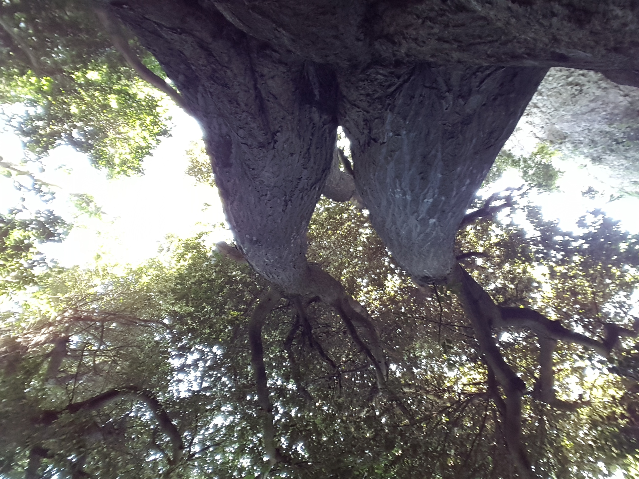 아름다운 숲 전국대회 공존상 수상을 감사드립니다. 첨부#2