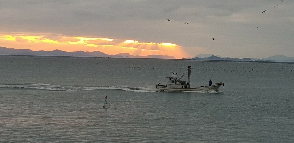 2019년1월1일 의신면 수품항서방파제 일출 및 신년 산행. 첨부#5