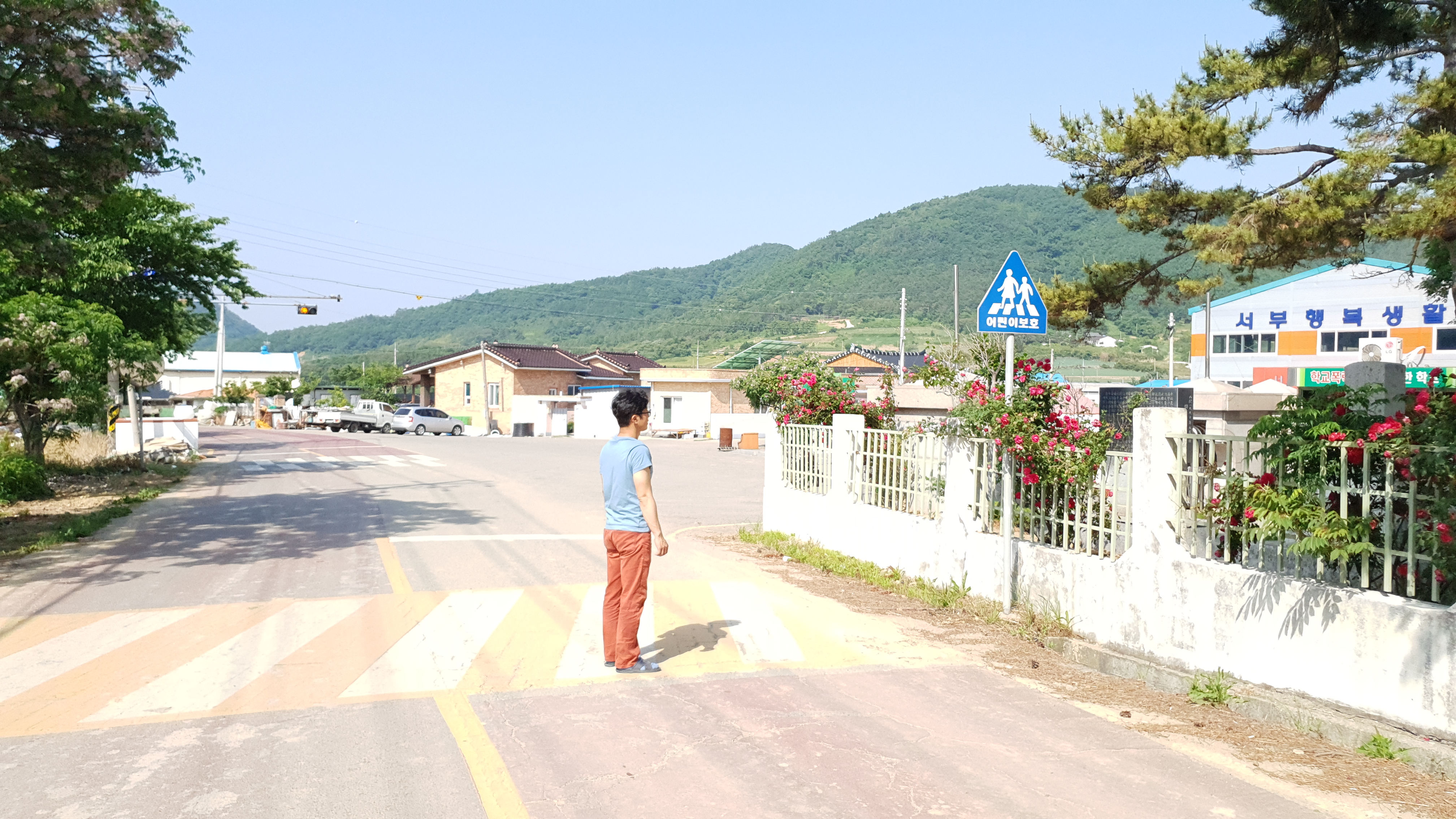 진도서초등학교 '스쿨 존(School Zone)' 설치 진도서등학교 4학년 담임교사 이성호 첨부#2