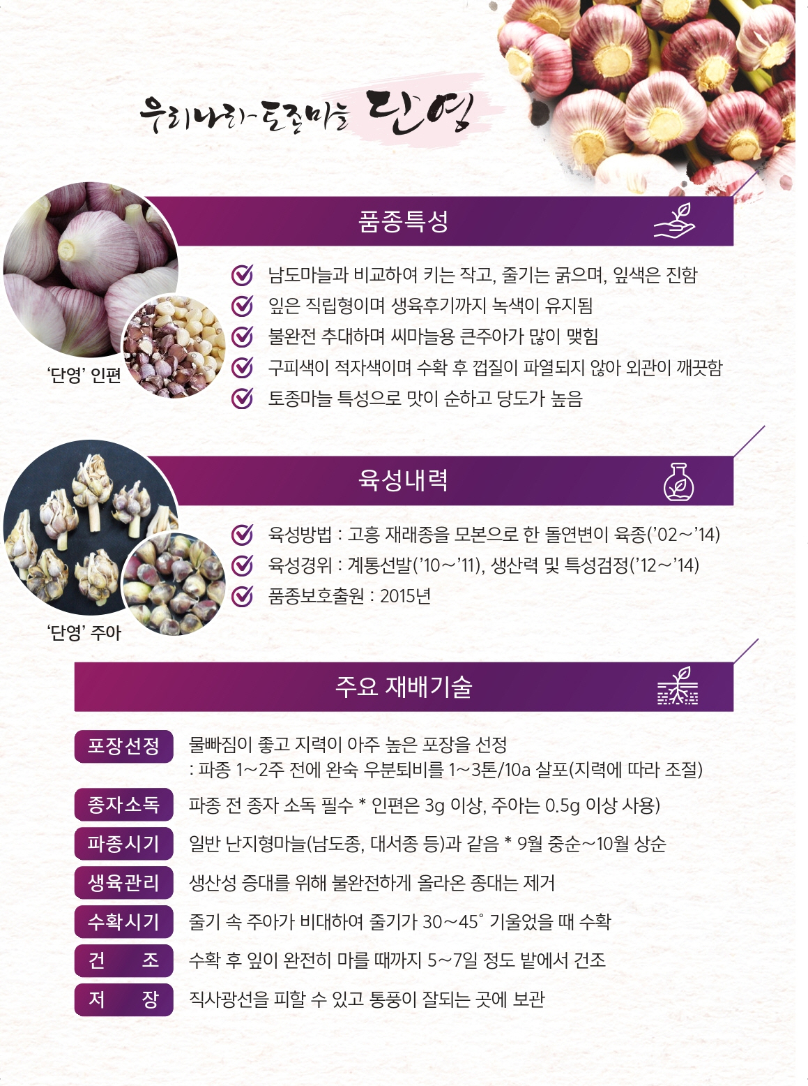 마늘 제초제 안전사용 방법 및 단영마늘 소개 첨부#3
