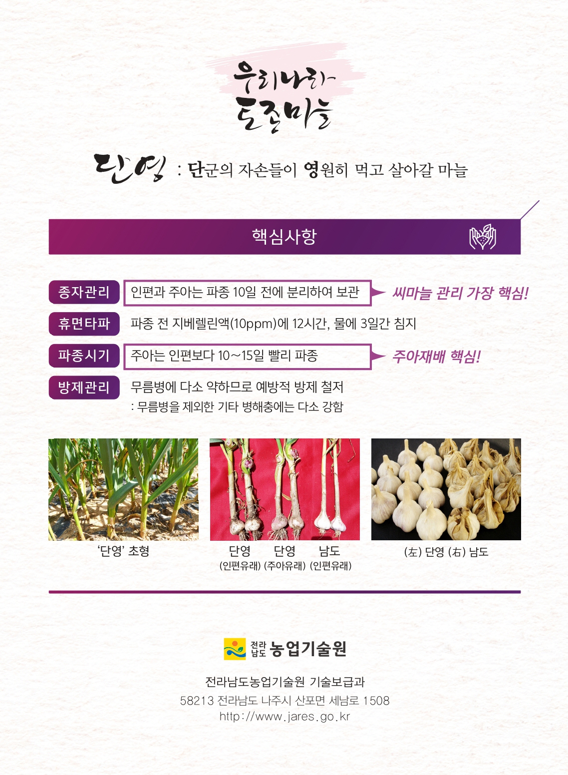 마늘 제초제 안전사용 방법 및 단영마늘 소개 첨부#5