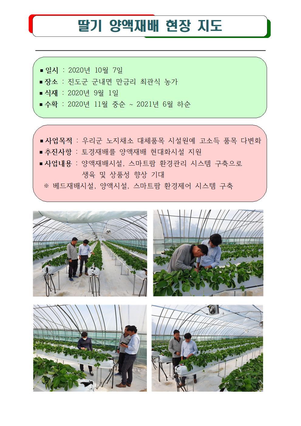 딸기 양액재배 현장 지도 첨부#1