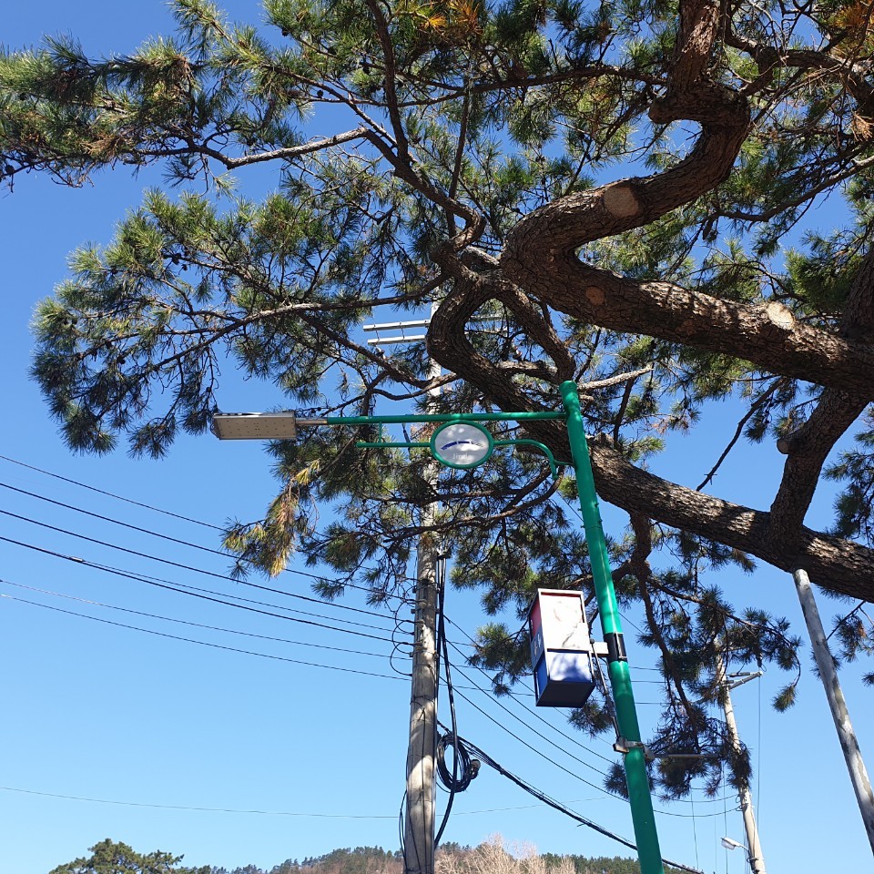 산누리 삼림개발 김선미 대표님을 칭찬합니다. 첨부#1