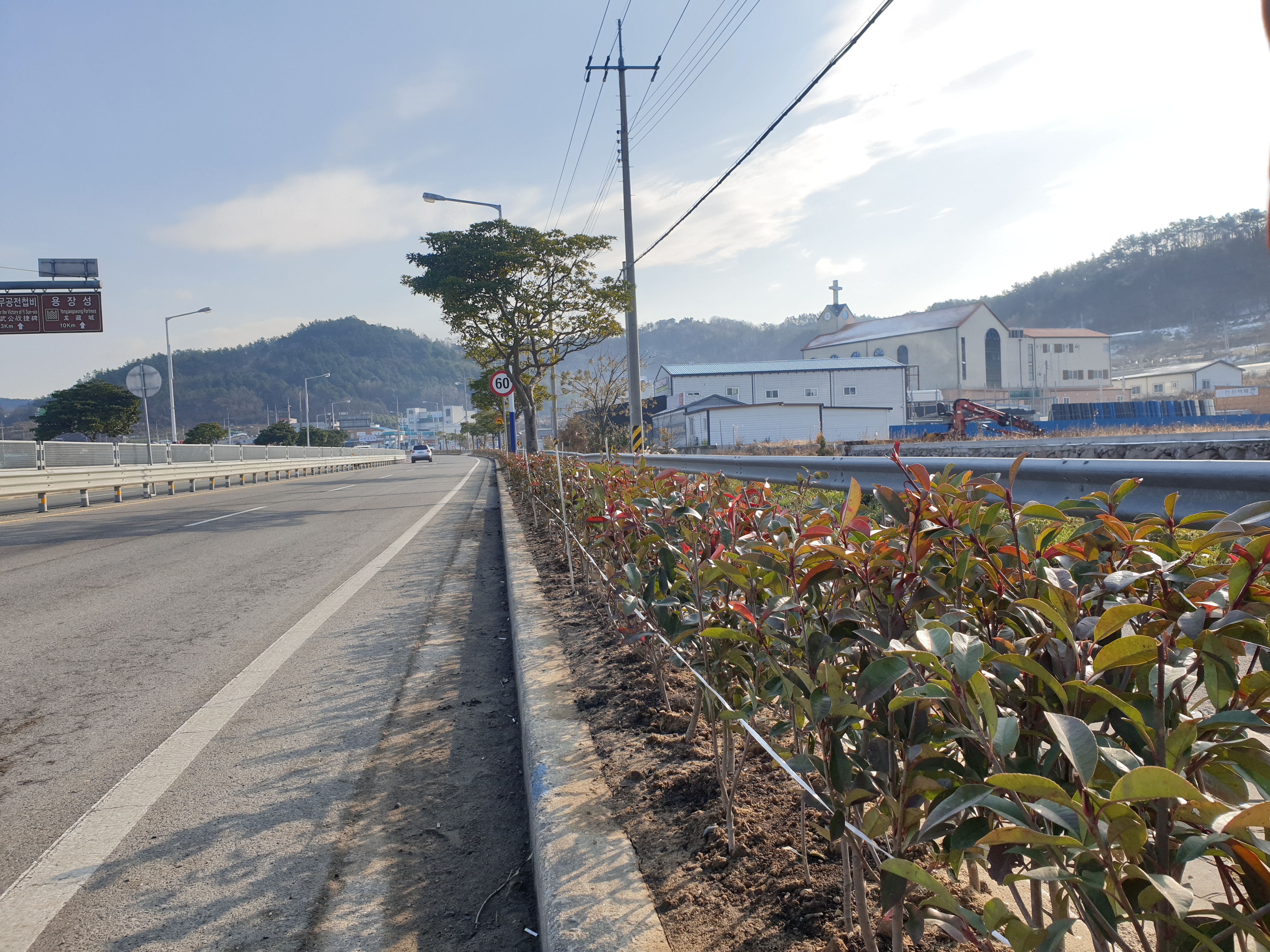 진도군, 컬러관목 식재로 생기 넘치는 도심 조성 이미지