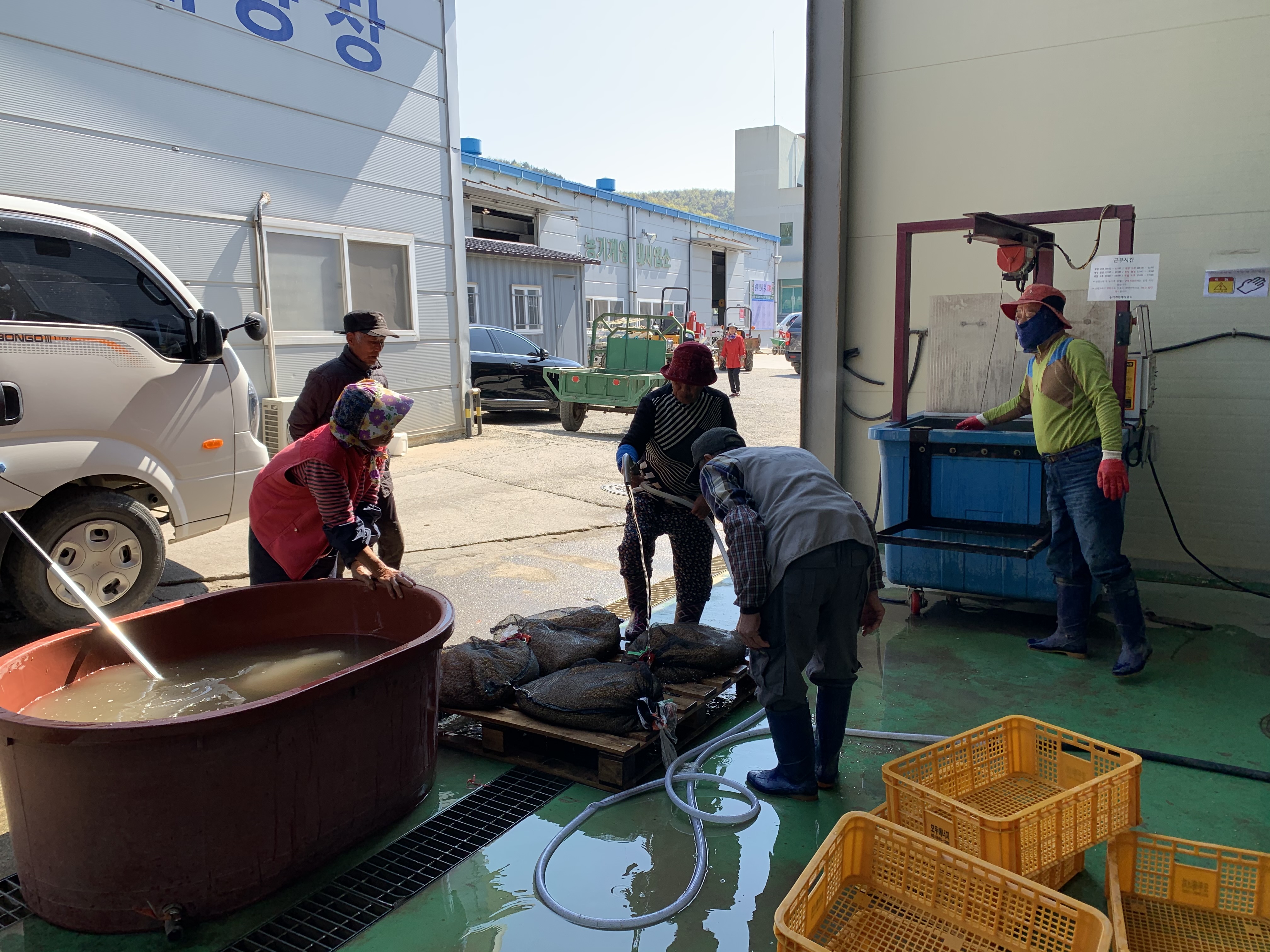 진도군, 벼 키다리병 방제 위한 ‘온탕소독기’ 운영 이미지