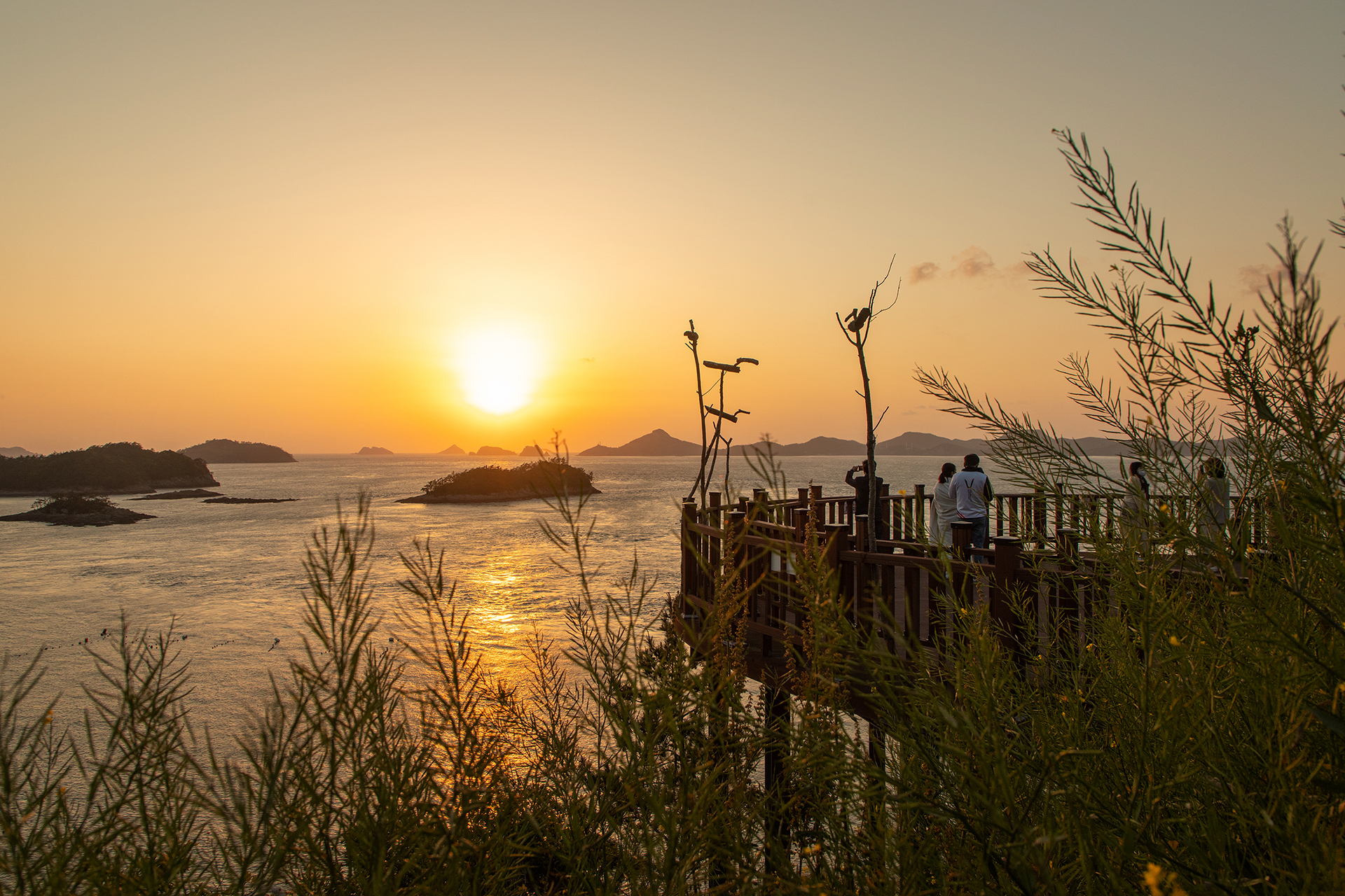 해설사 도팍 이평기님을 칭찬합니다 첨부#4