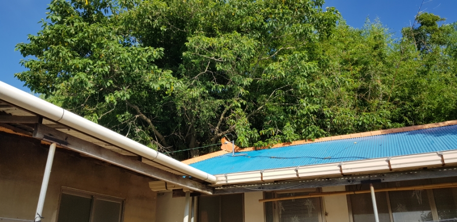 집 주변이 환해졌어요!!! 첨부#1