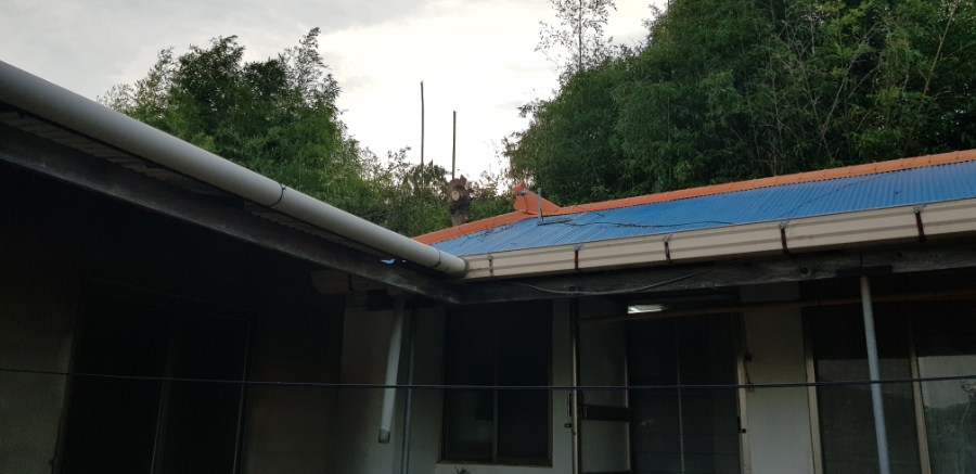 집 주변이 환해졌어요!!! 첨부#4