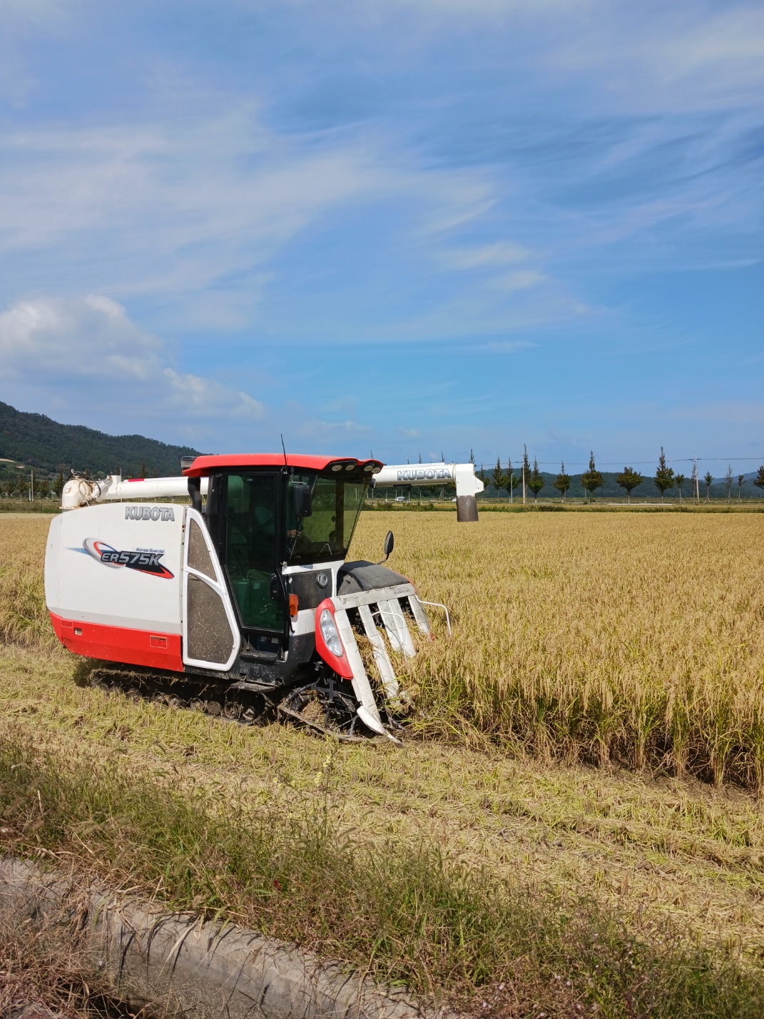 진도군, 2023년산 쌀 생산농가 수매보전 지원금 지급 이미지