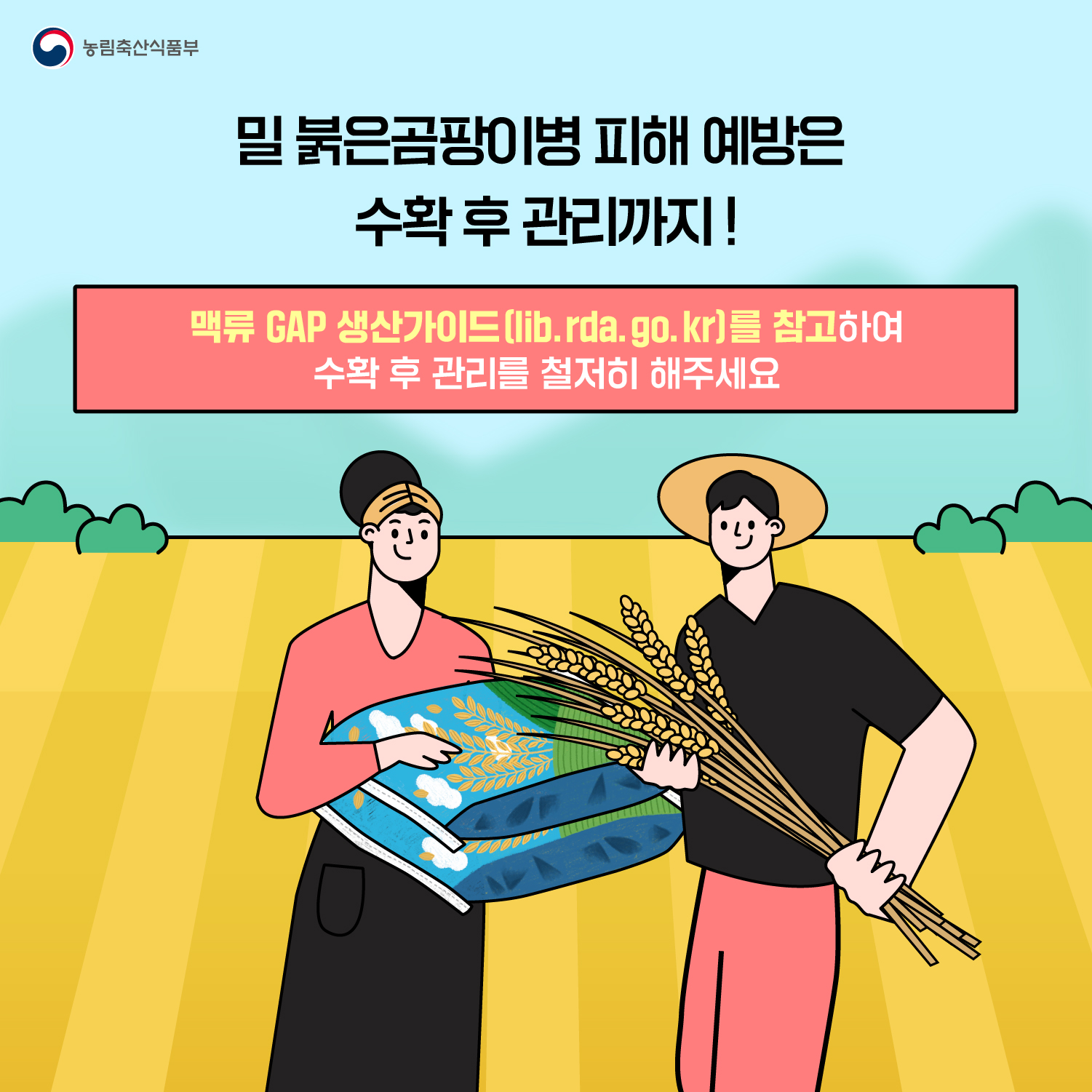 맥류 '붉은곰팡이병' 사전 예방 안내 첨부#6