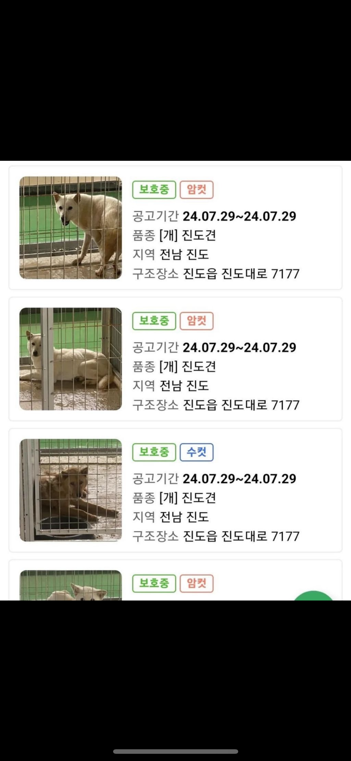 진도군 이게 최선인가? 이름 개장수군으로 바꿔라 첨부#1