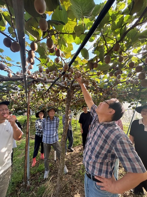 진도군농업기술센터, 삼색키위연구회 대상 현장 교육 추진 첨부#2