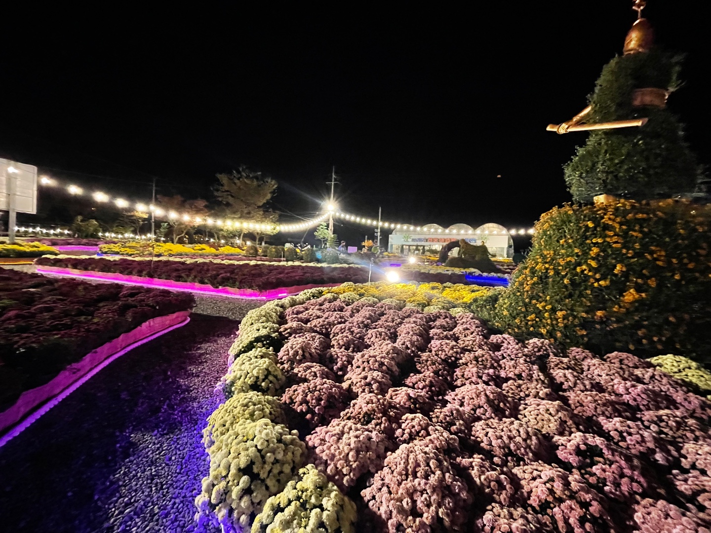 2024 국화축제 칭찬합니다 첨부#3