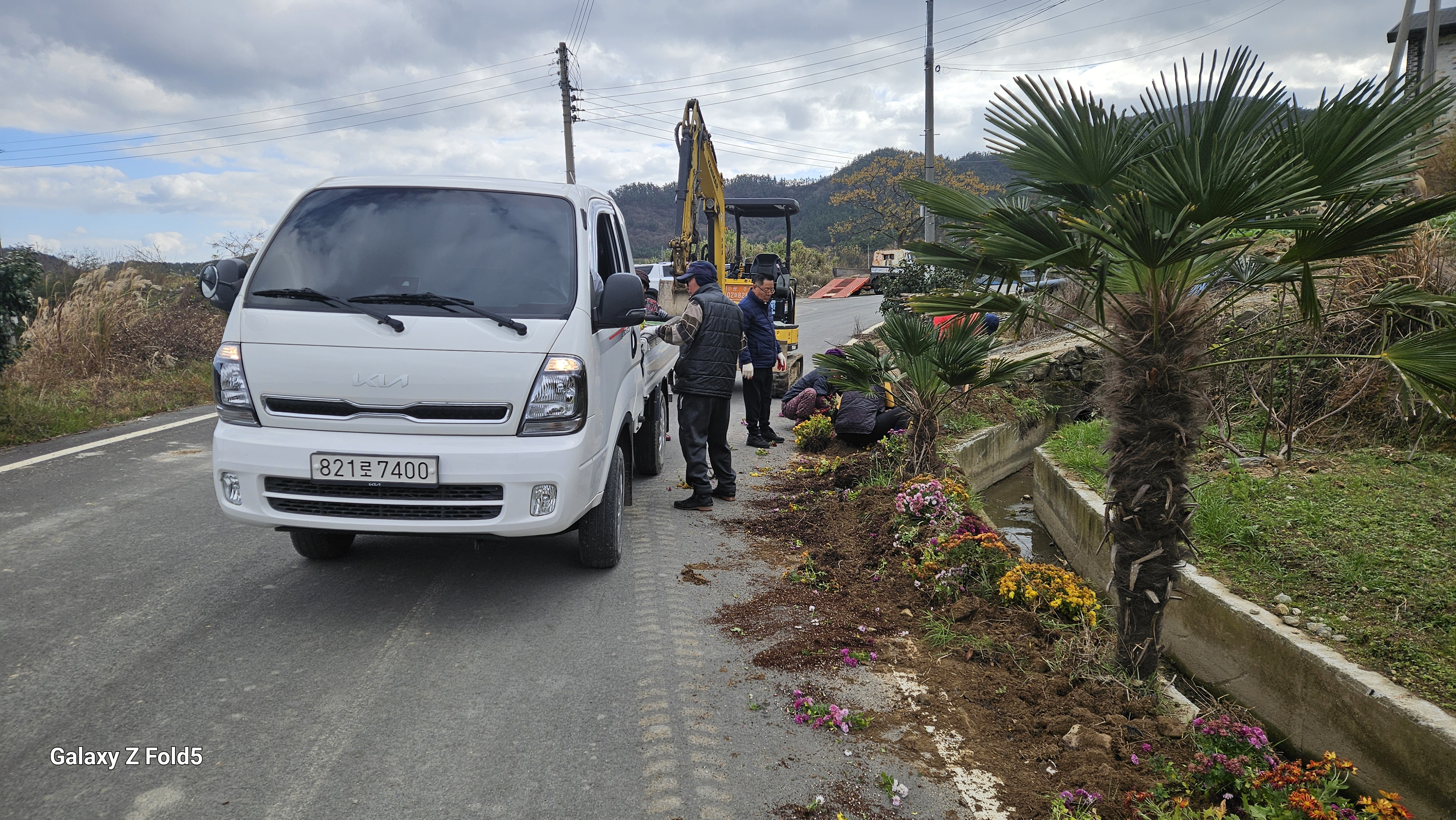 하굴마을 국화꽃길 만들기 첨부#1