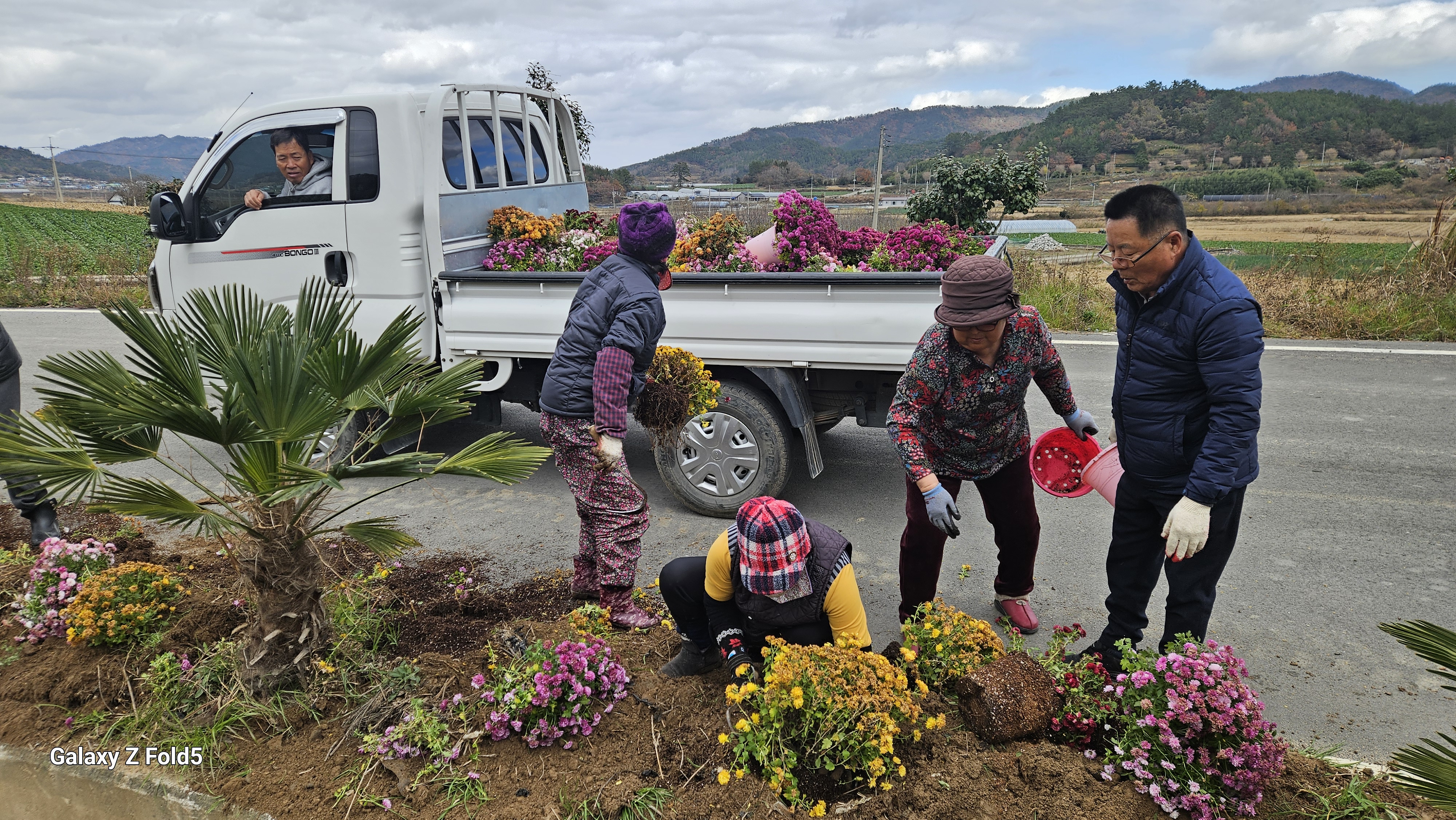 의신면 하굴마을 아름다운 꽃길 만들기 첨부#2