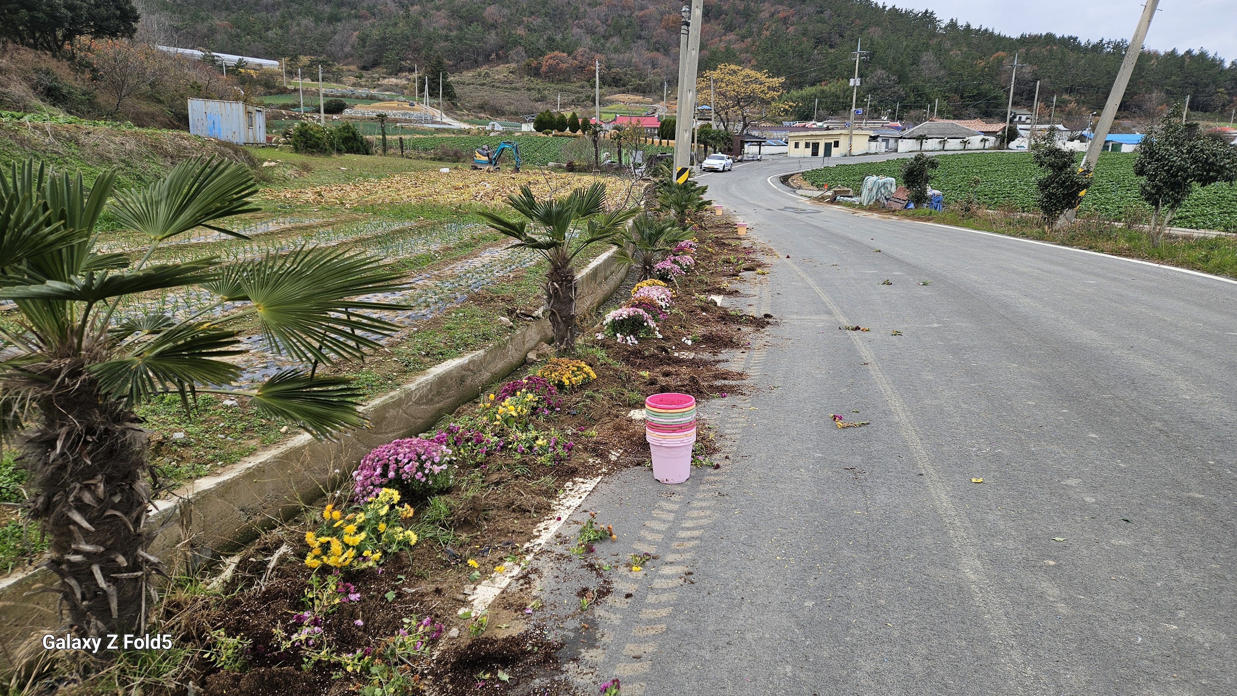의신면 하굴마을 아름다운 꽃길 만들기 첨부#4