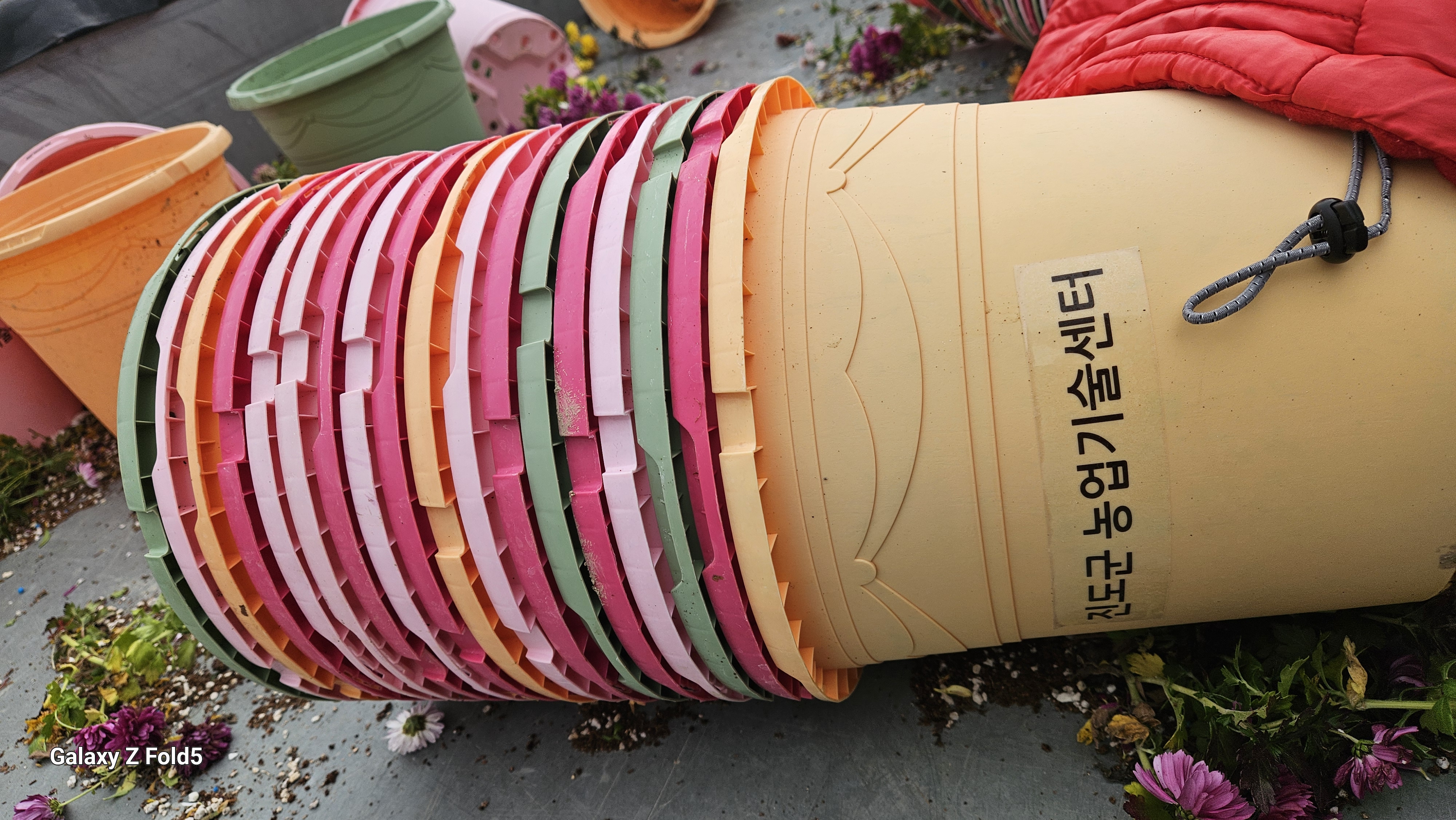 의신면 하굴마을 아름다운 꽃길 만들기 첨부#5