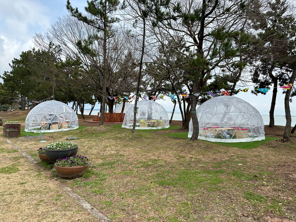 진도신비의바닷길축제 피크닉존 첨부#1
