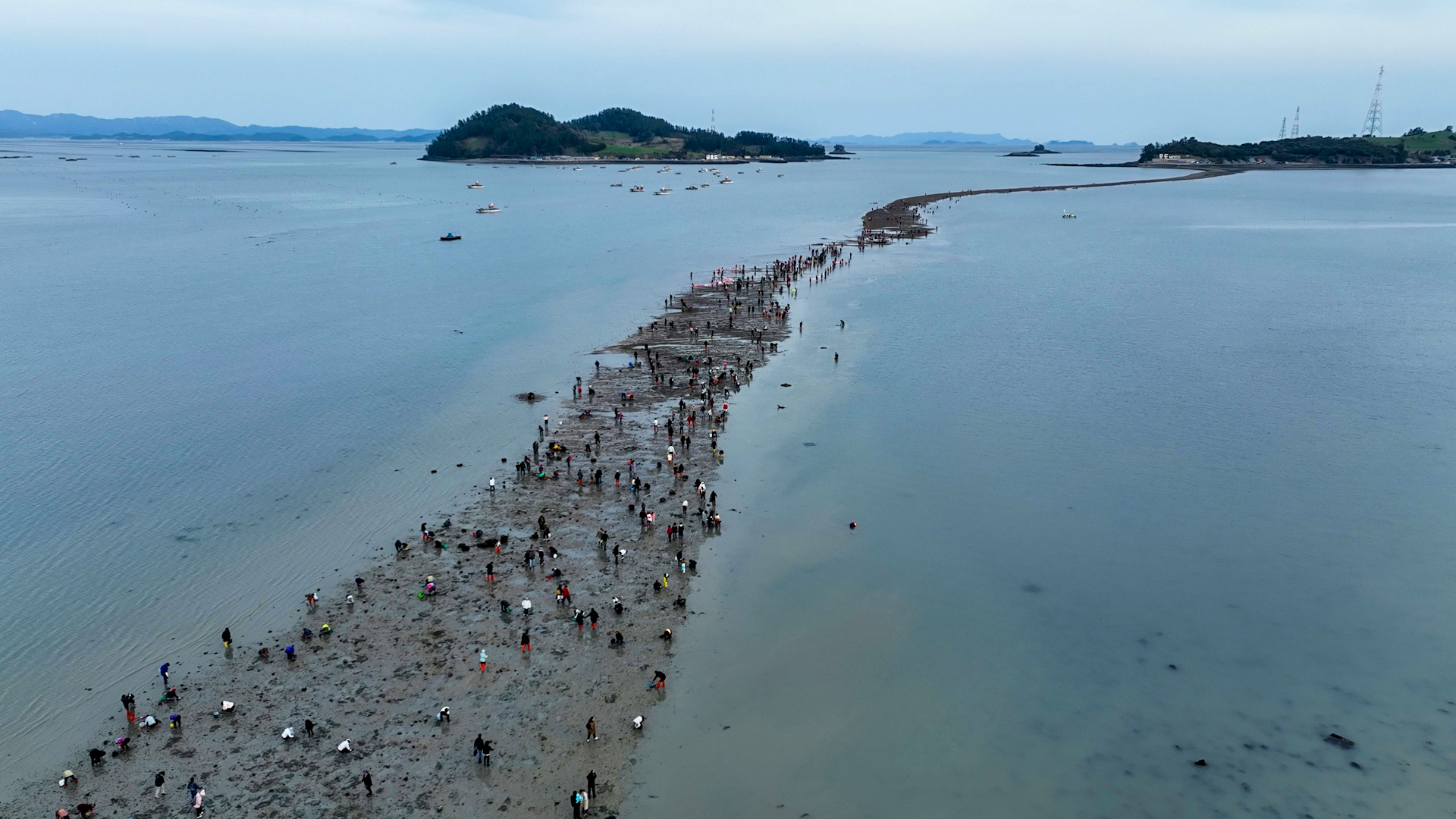 제45회 진도 신비의바닷길축제 2일차 첨부#4