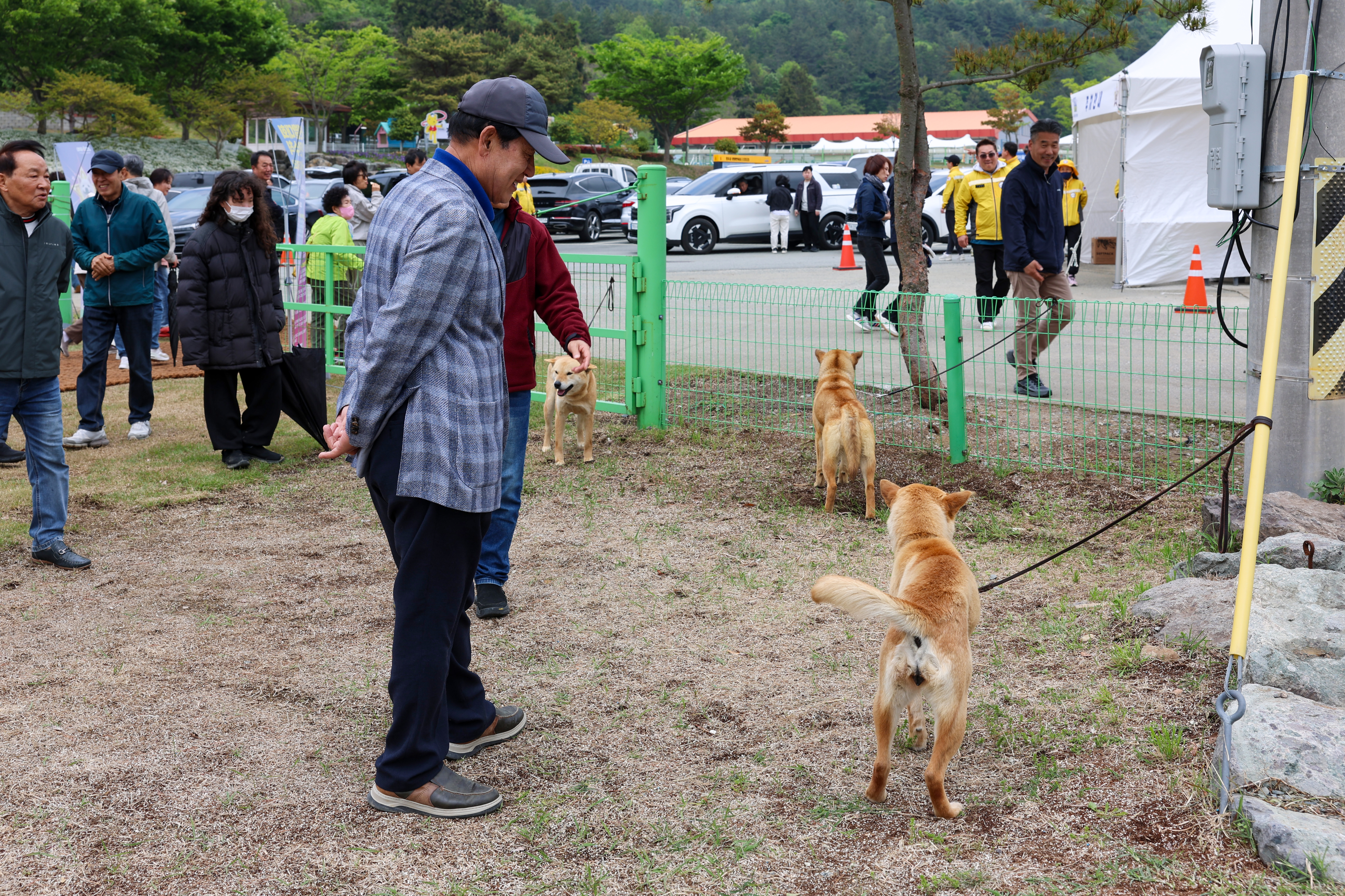 2025 진도개 페스티벌 개막식 첨부#7