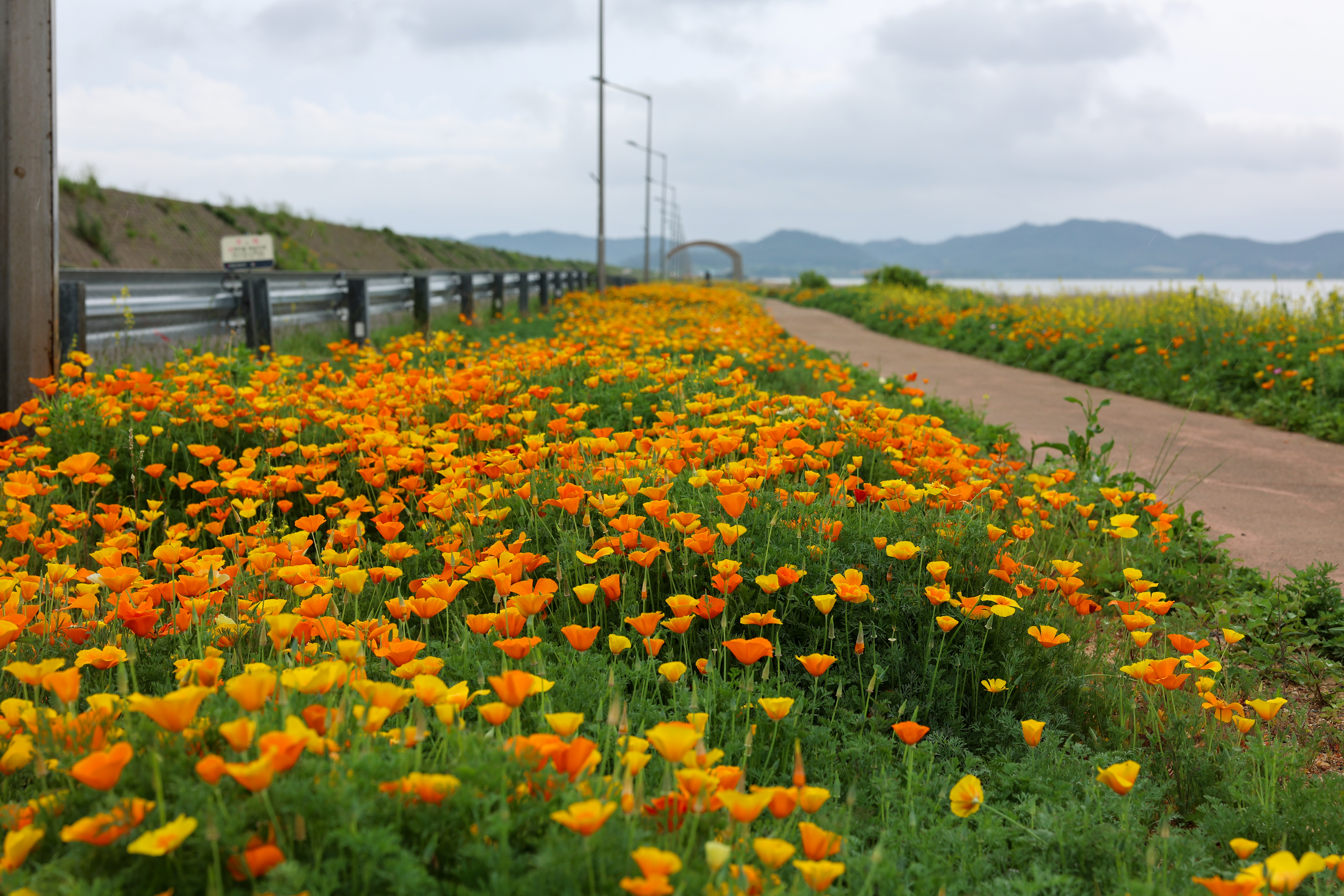 한의 백조호수공원 첨부#2