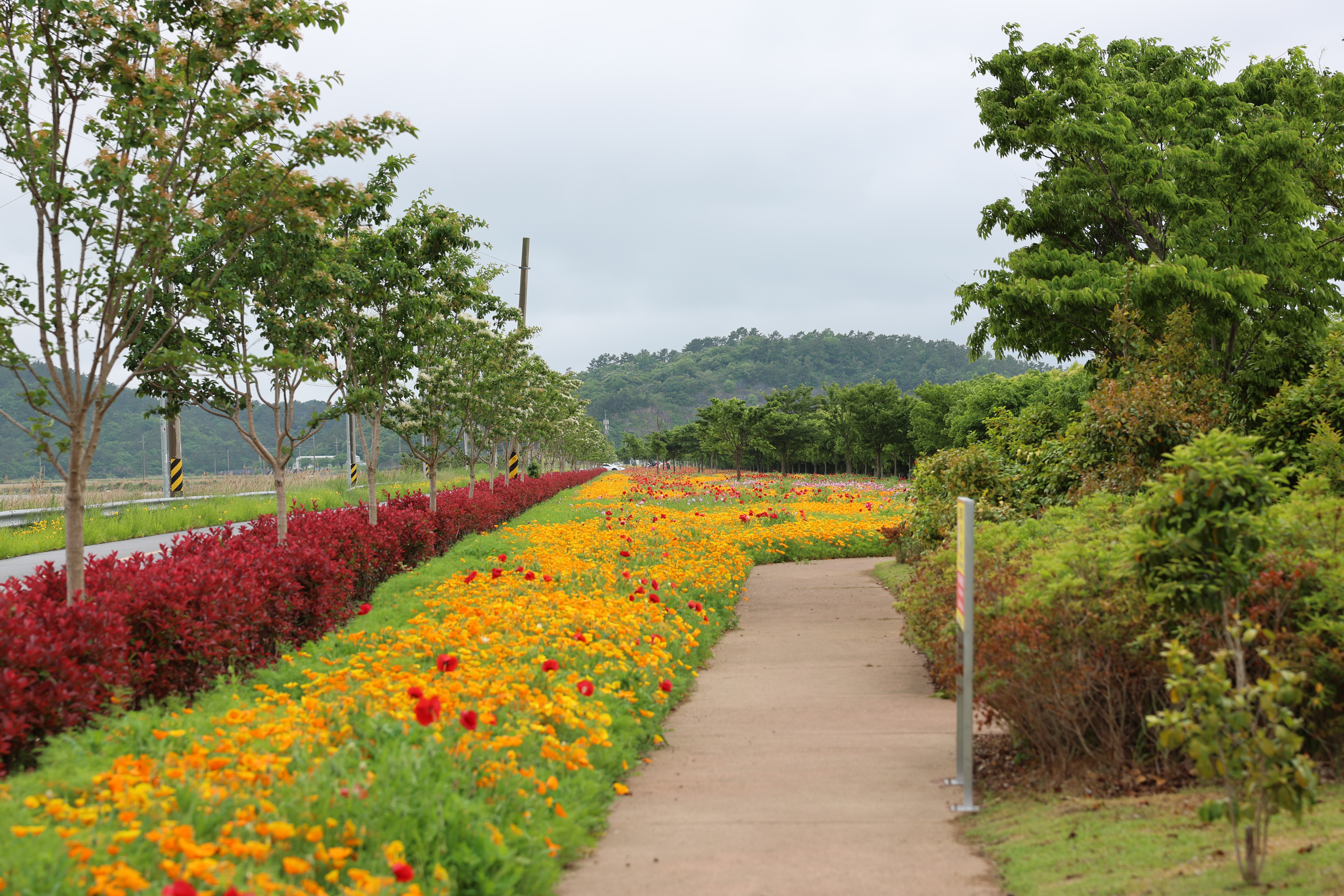 한의 백조호수공원 첨부#2