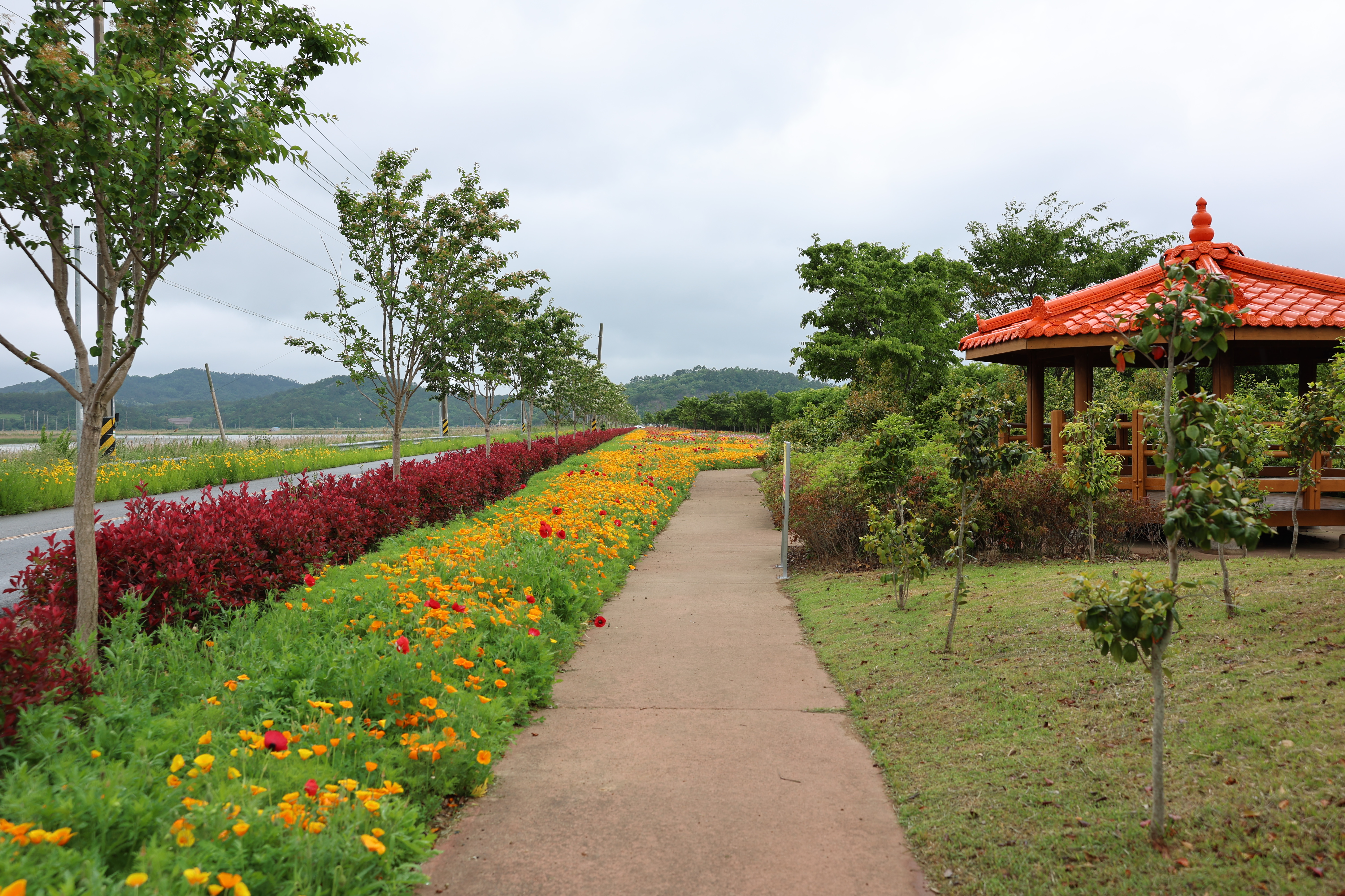 한의 백조호수공원 첨부#3
