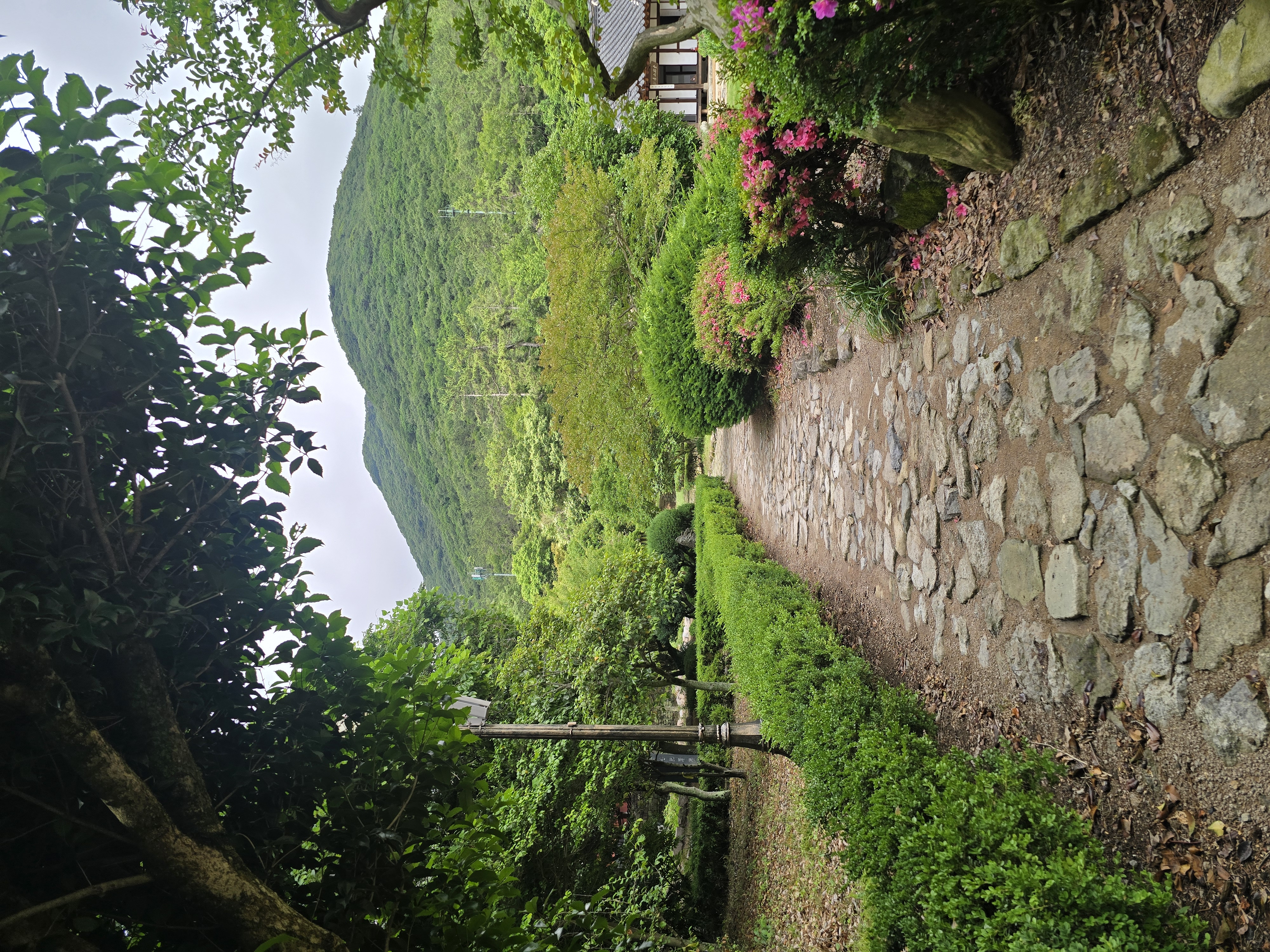 진도 미식투어 첨부#3