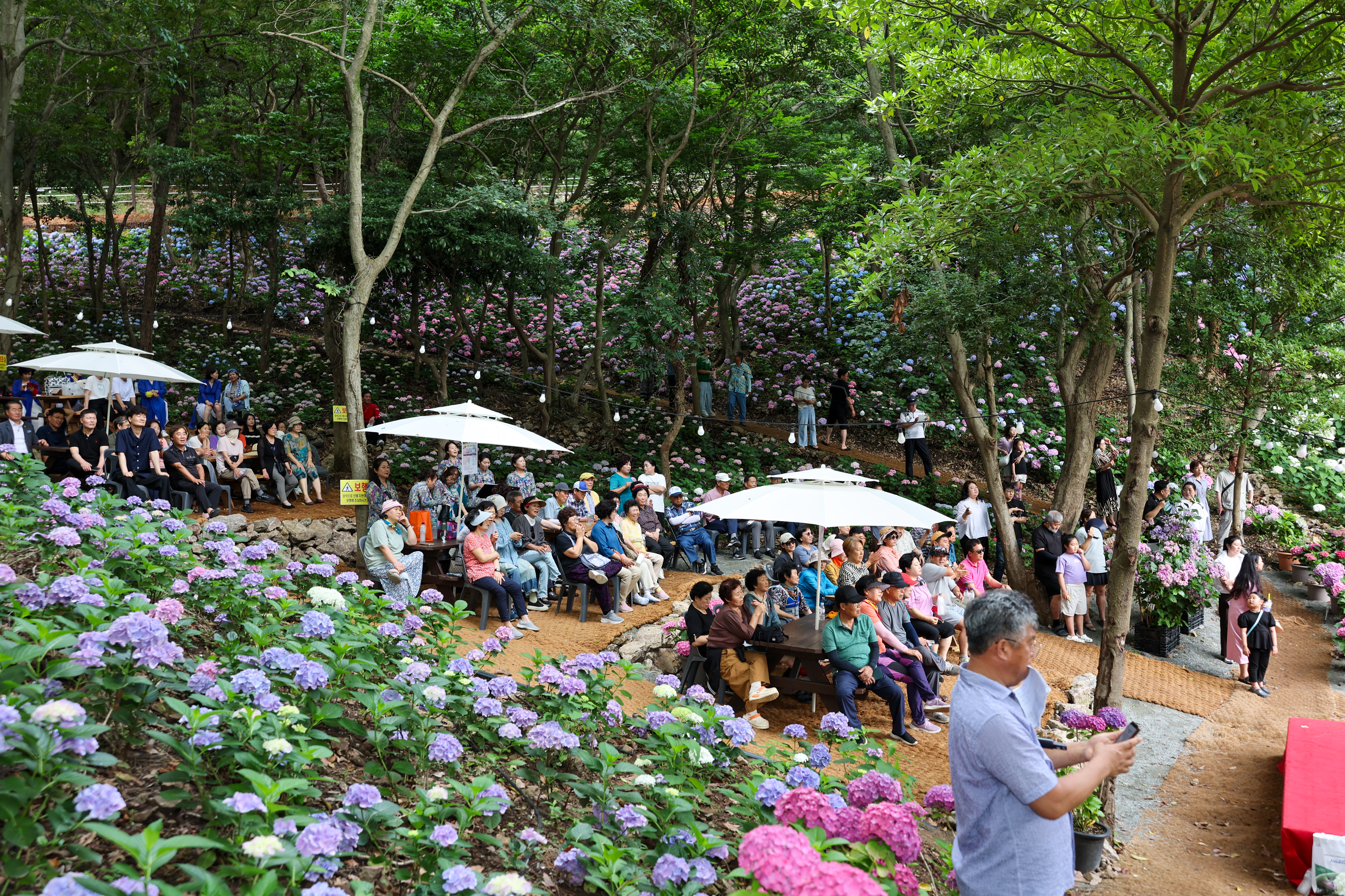 운림 수국의 밤 작은 음악회 첨부#2