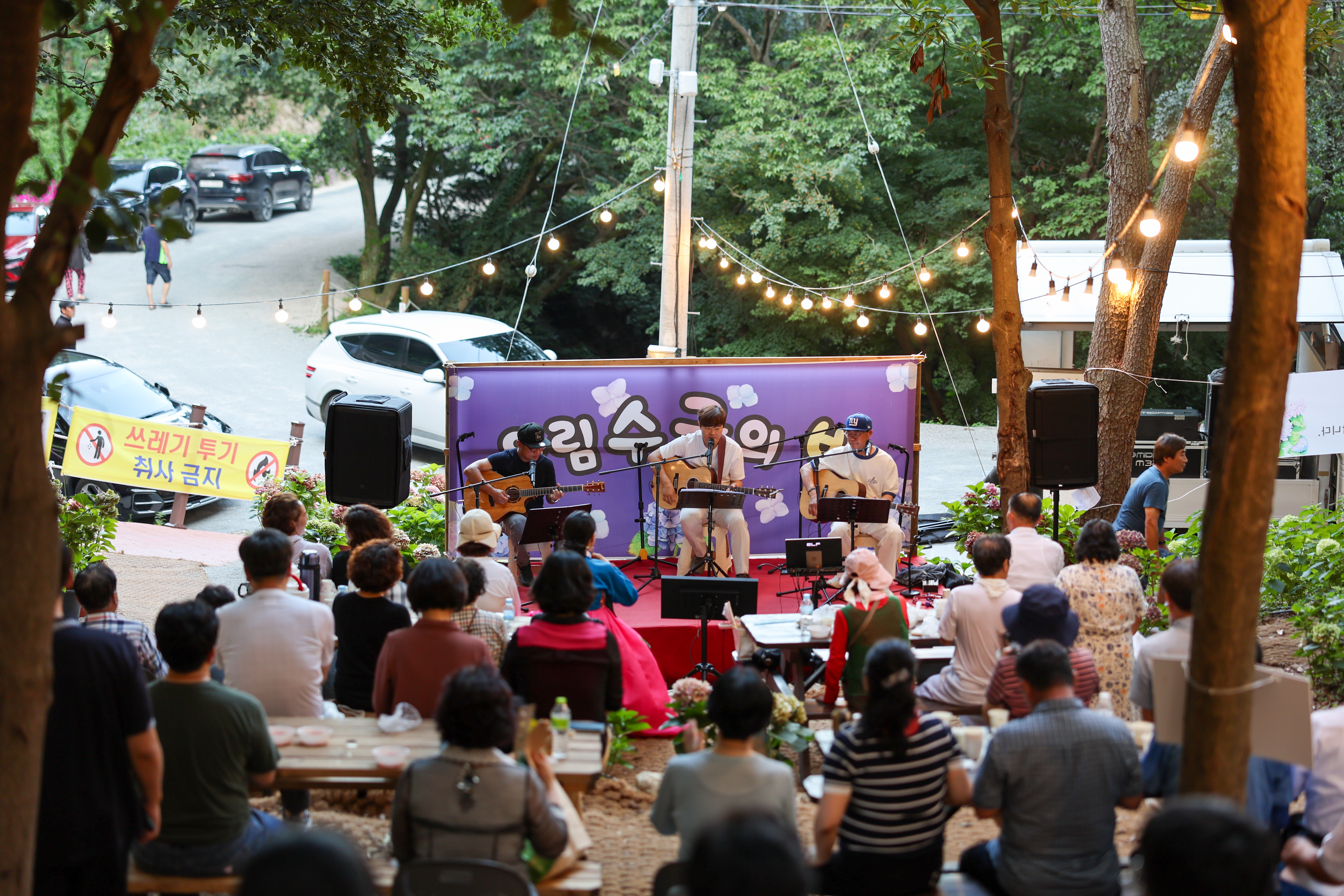 운림수국의 밤 첨부#3