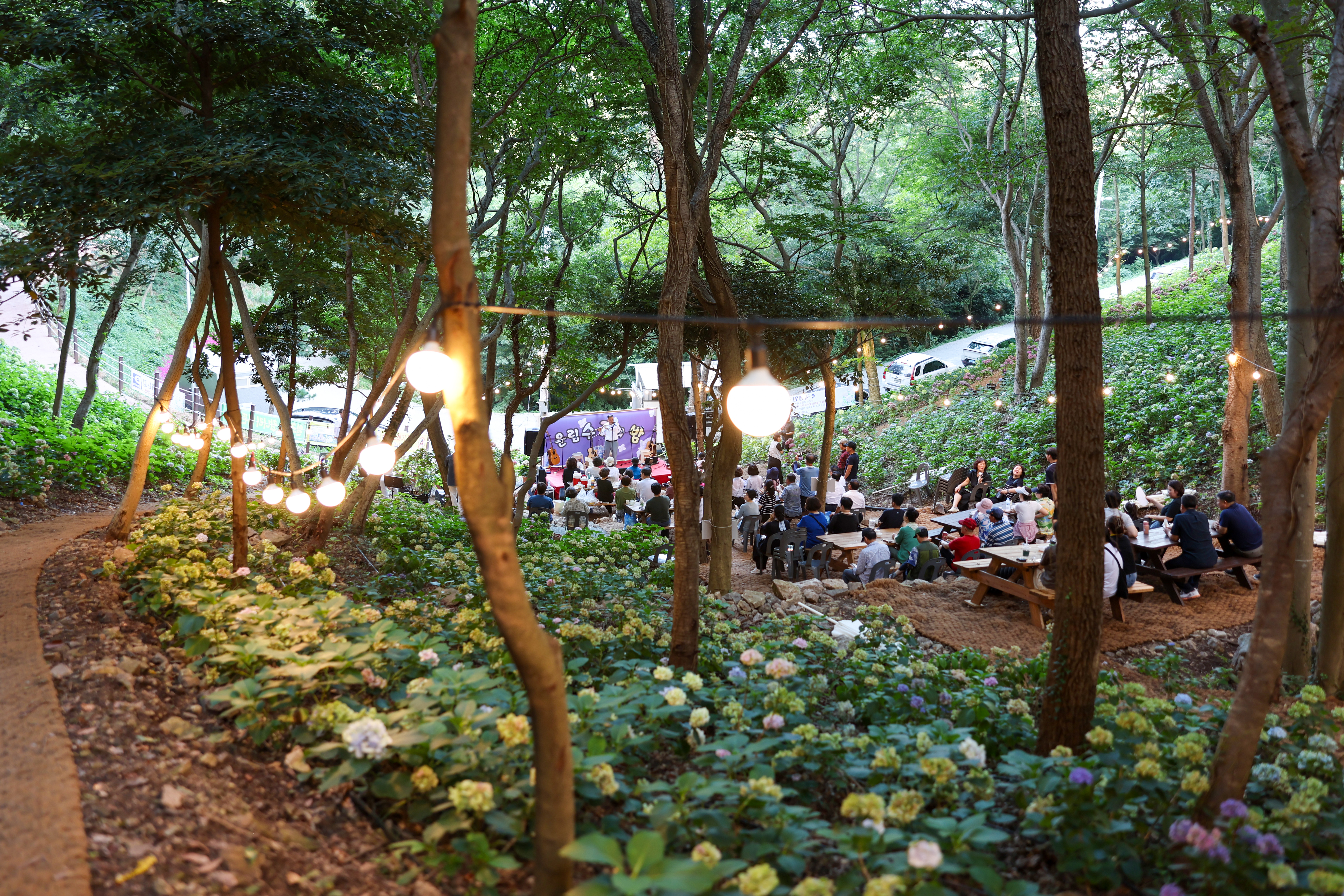 운림수국의 밤 첨부#6