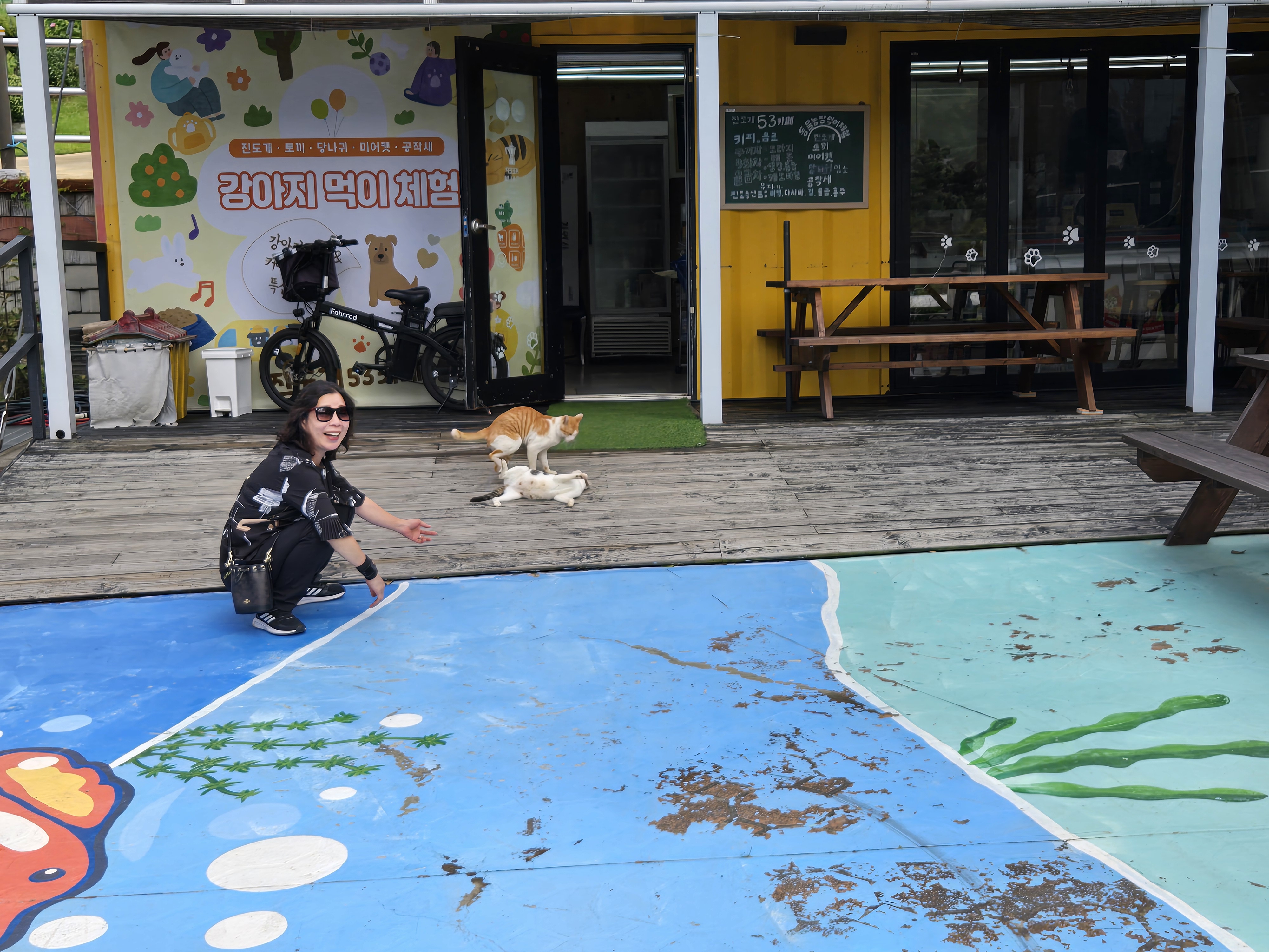 진도? 진도! 미식투어 좋아요! 첨부#4