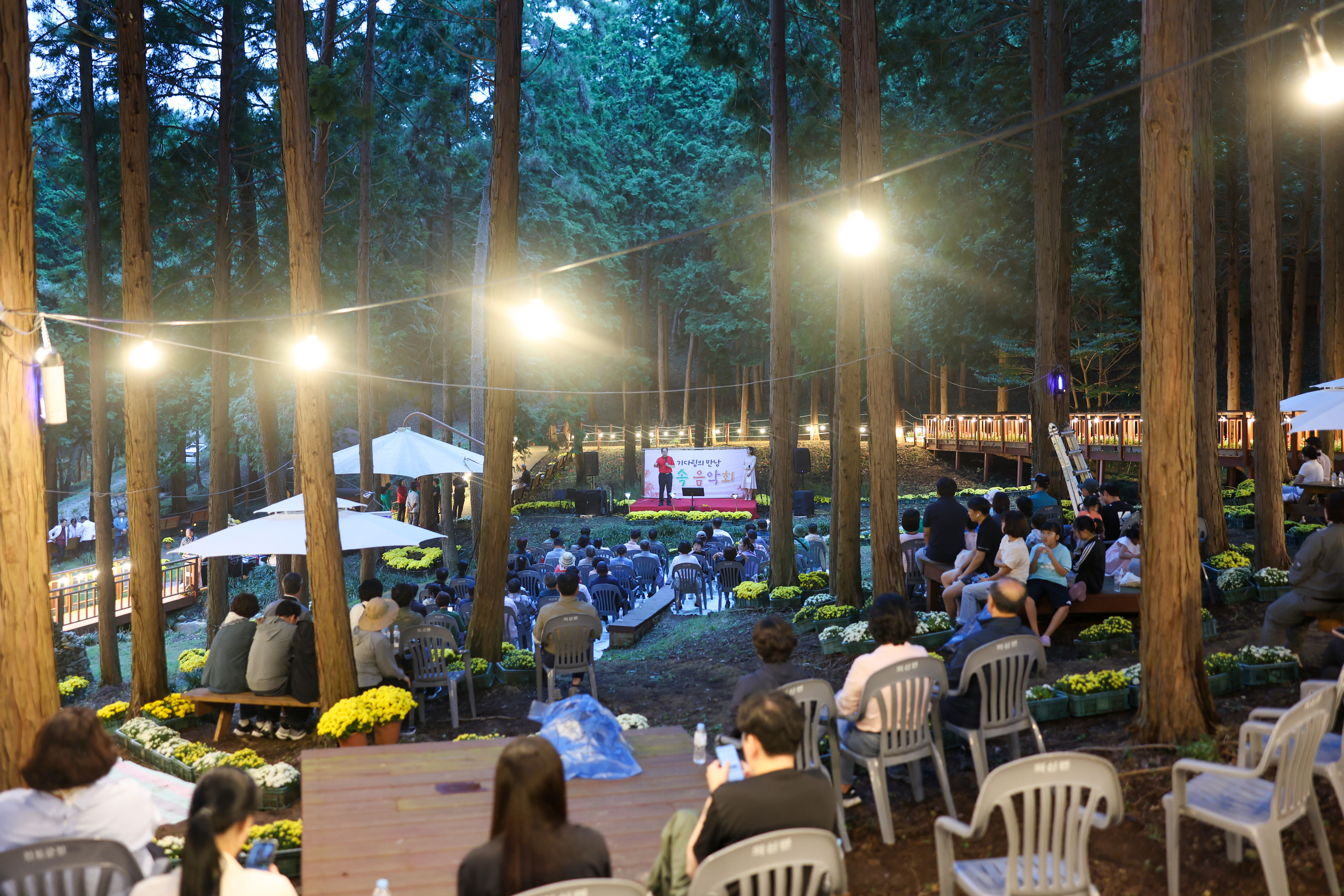 2025년 꽃무릇 숲속 음악회 이미지