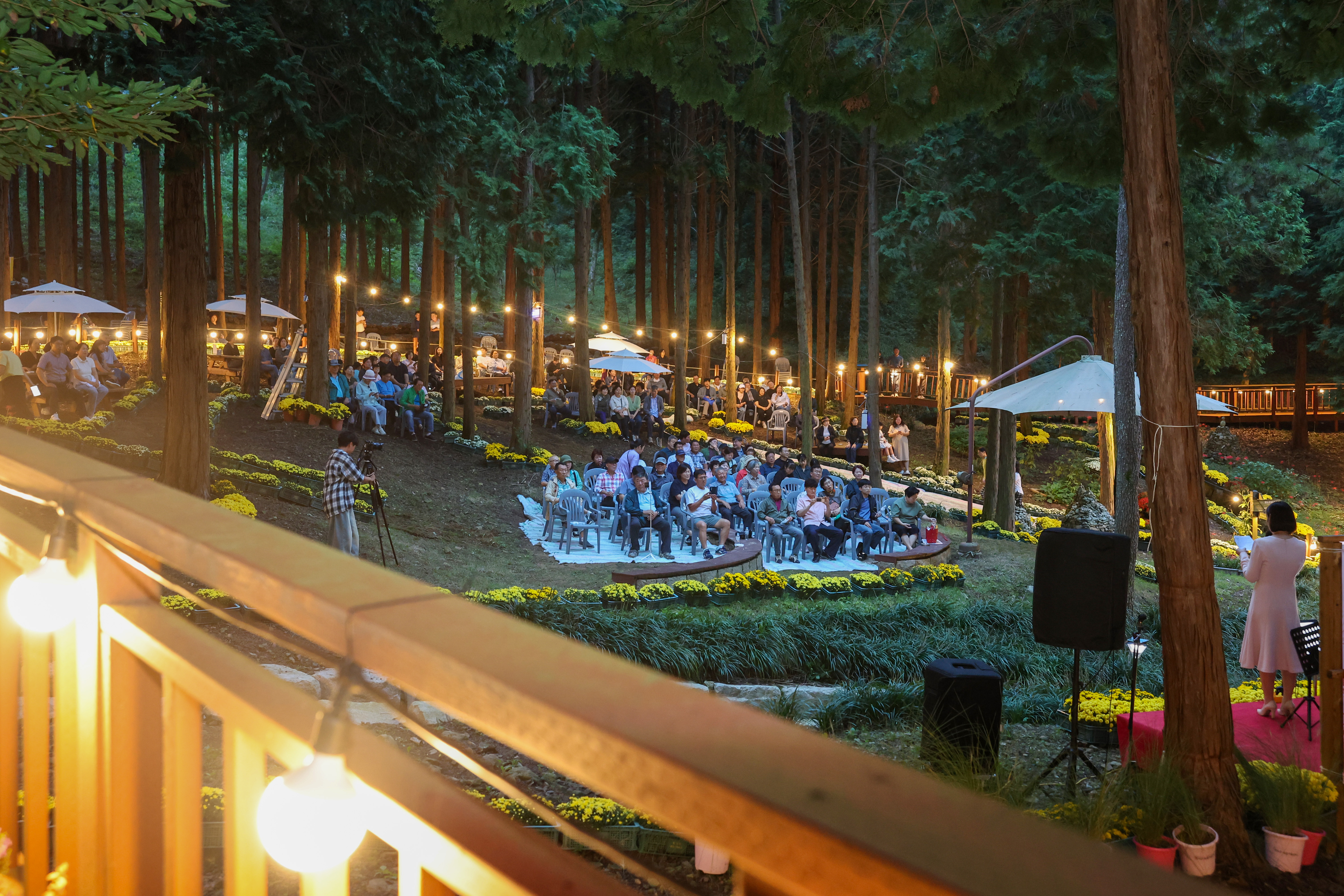 2025년 꽃무릇 숲속 음악회 첨부#4