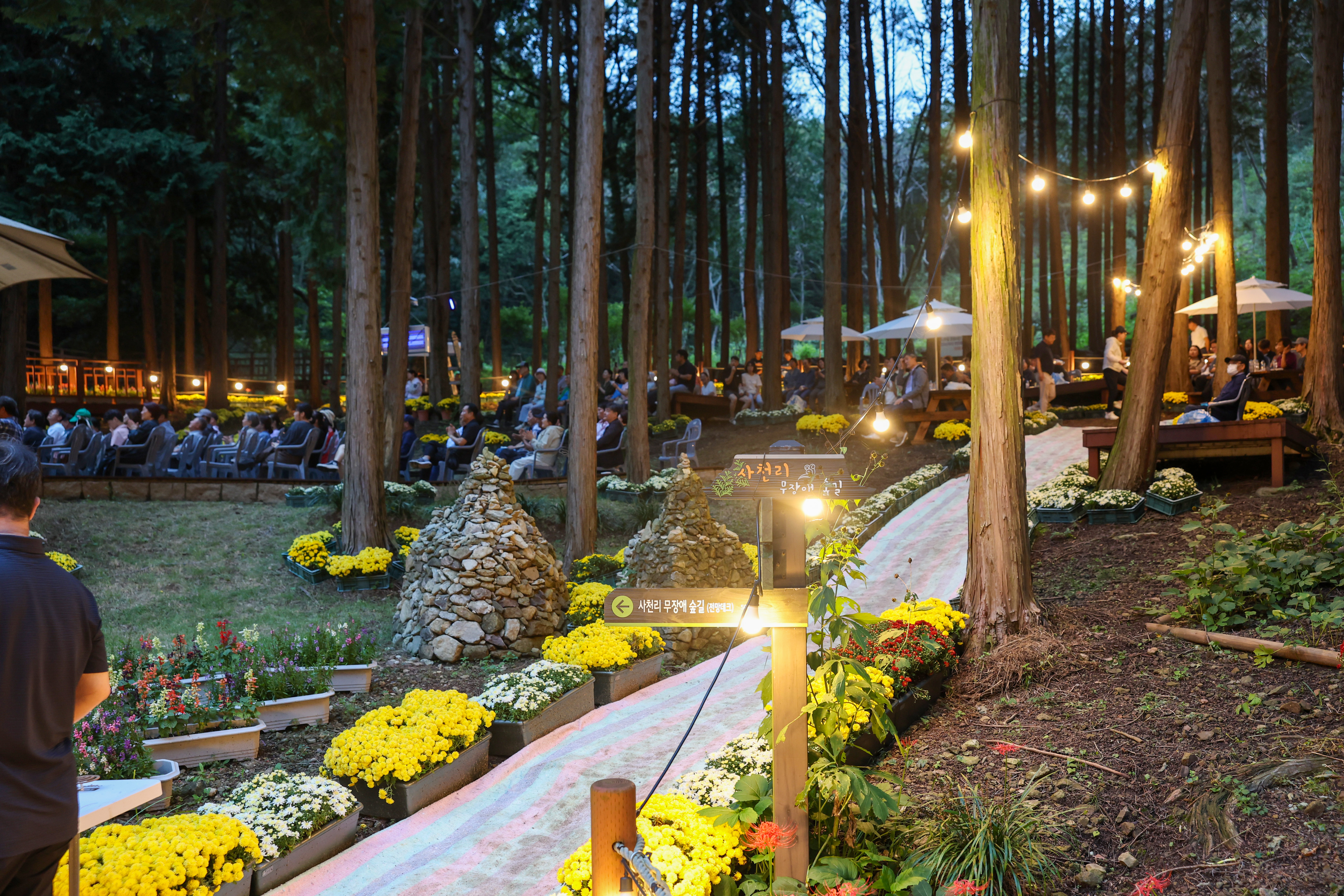 2025년 꽃무릇 숲속 음악회 첨부#5