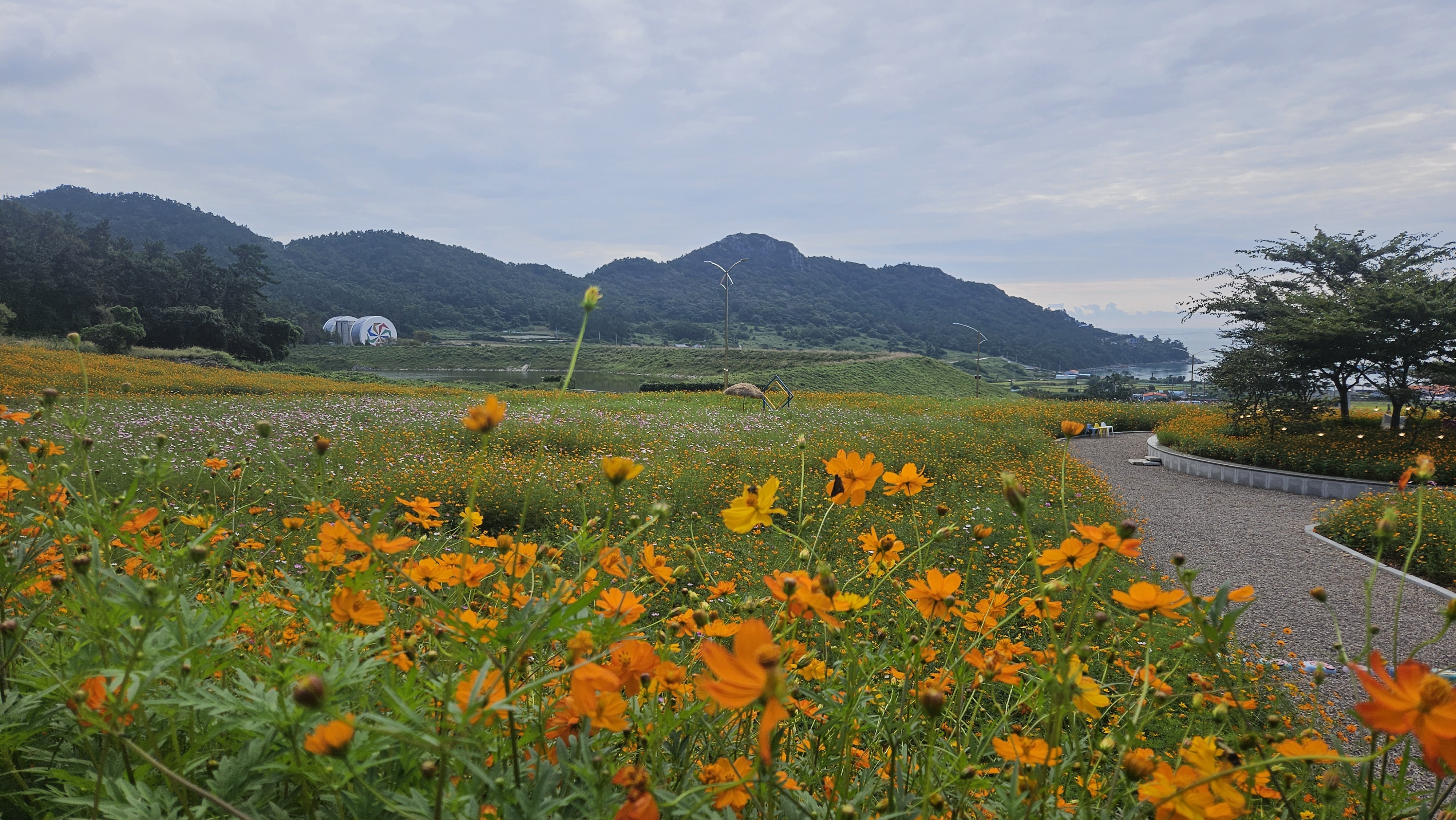 아리랑 마을 김병철 주무관님 감사 드립니다. 첨부#1