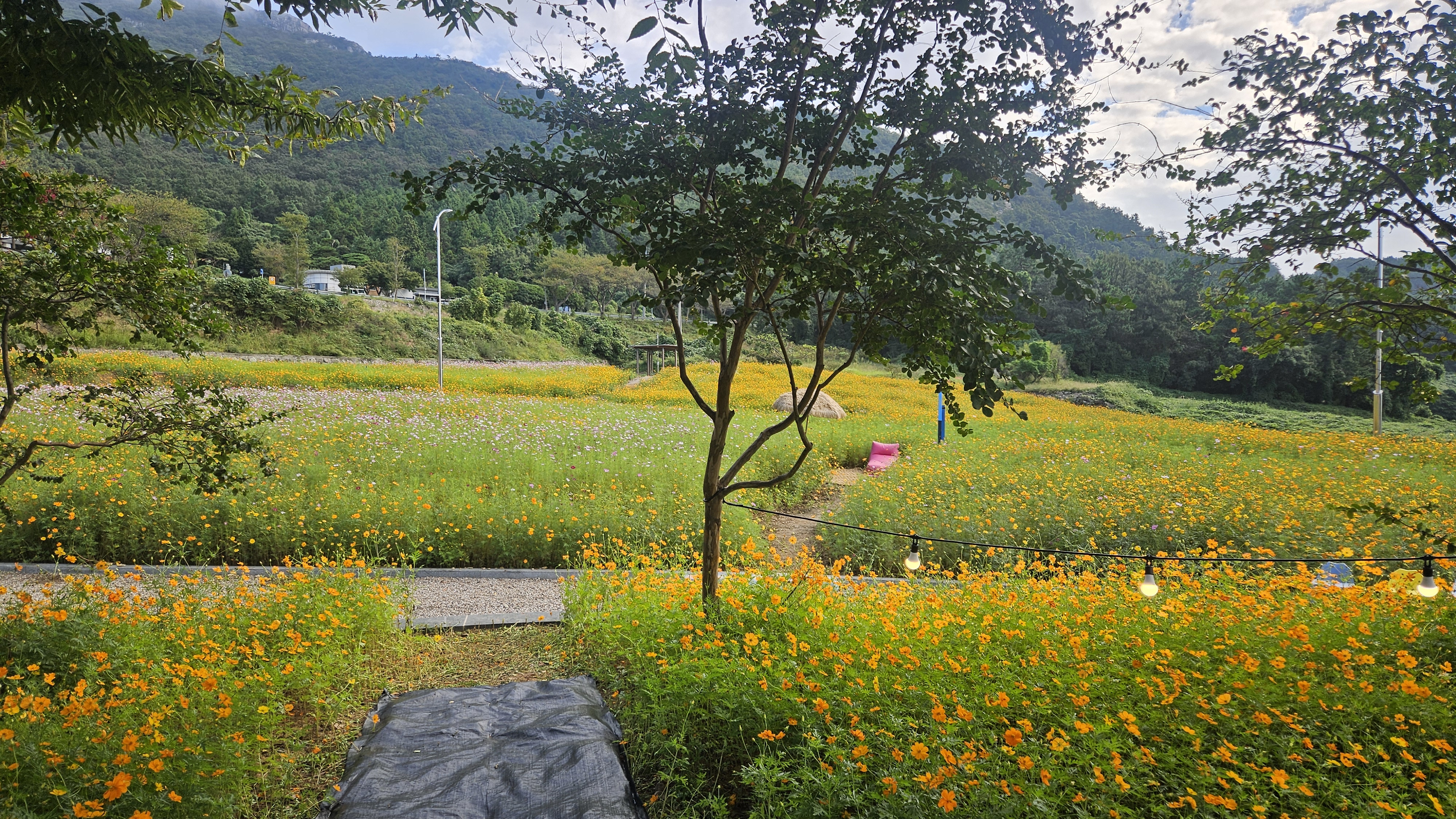 아리랑 마을 김병철 주무관님 감사 드립니다. 첨부#3