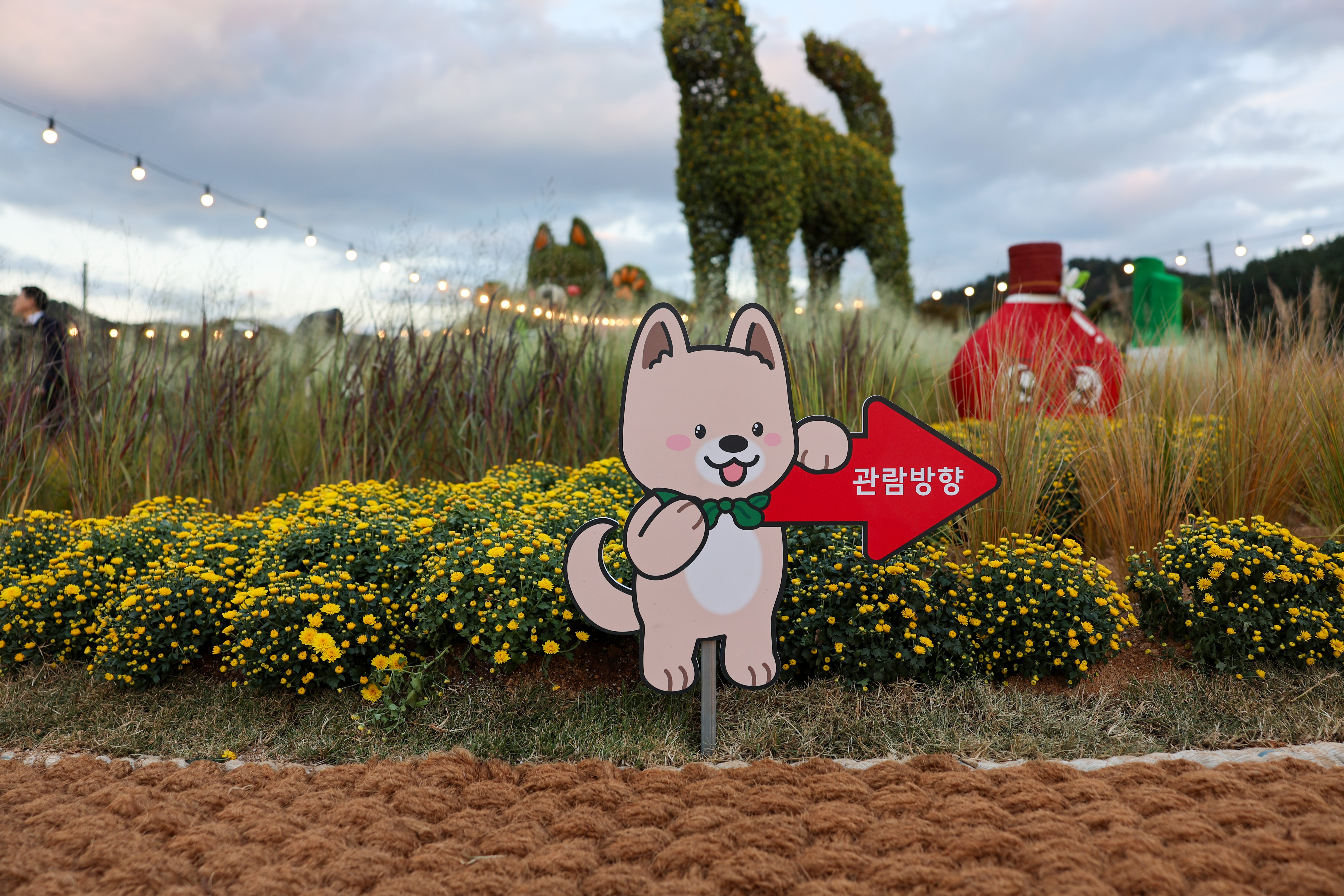 2025 보배섬 국화축제 개막식 첨부#9