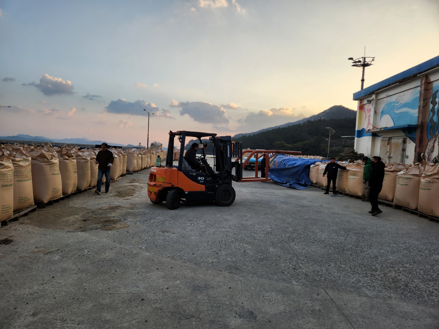 진도군, 2025년산 공공비축미 특등 비율 ‘전국 1위’ 이미지