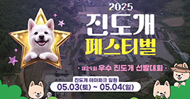 2025년 진도개페스티벌 홍보동영상 이미지