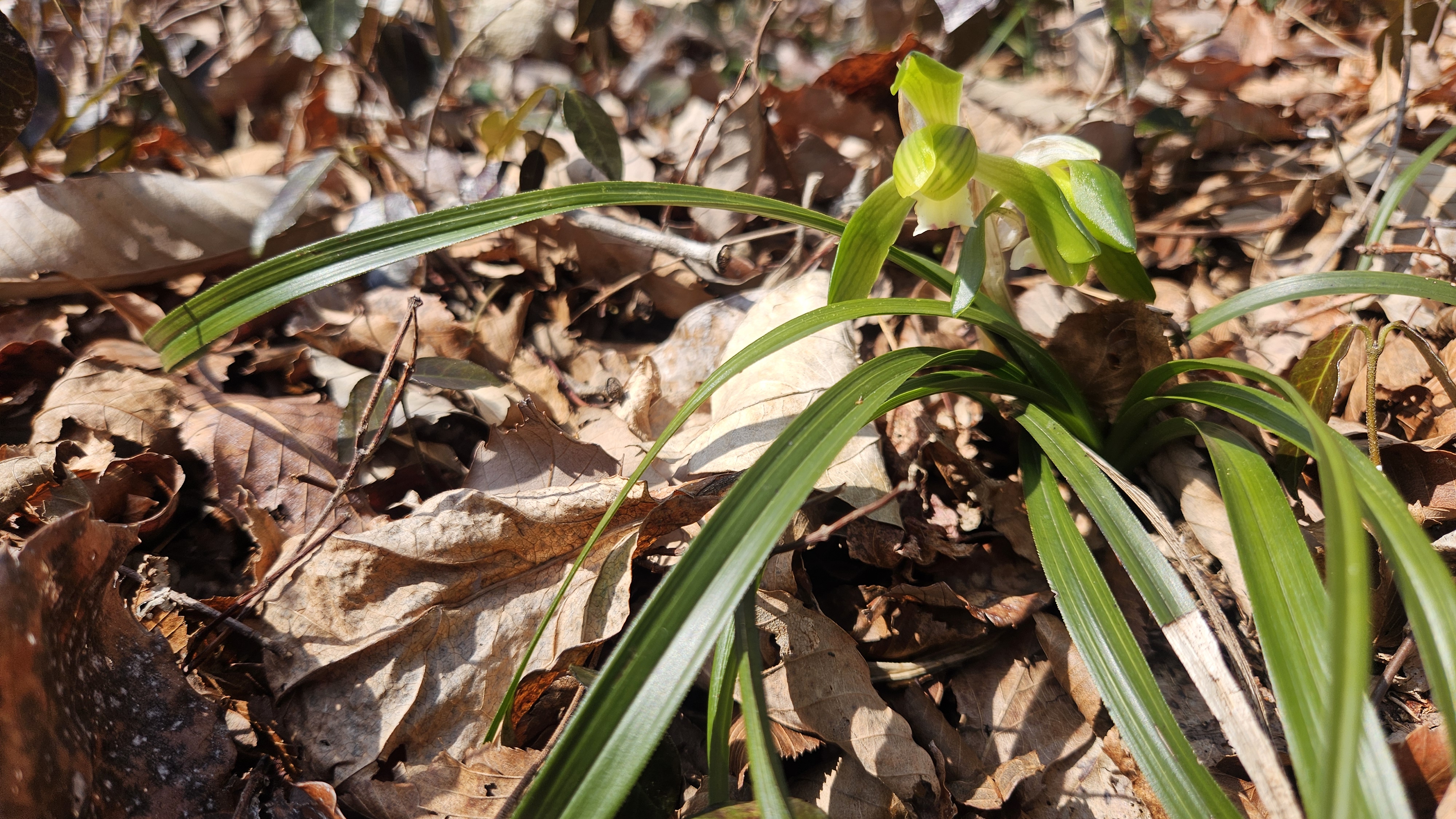 수고하신분들을 칭찬합니다. 첨부#2