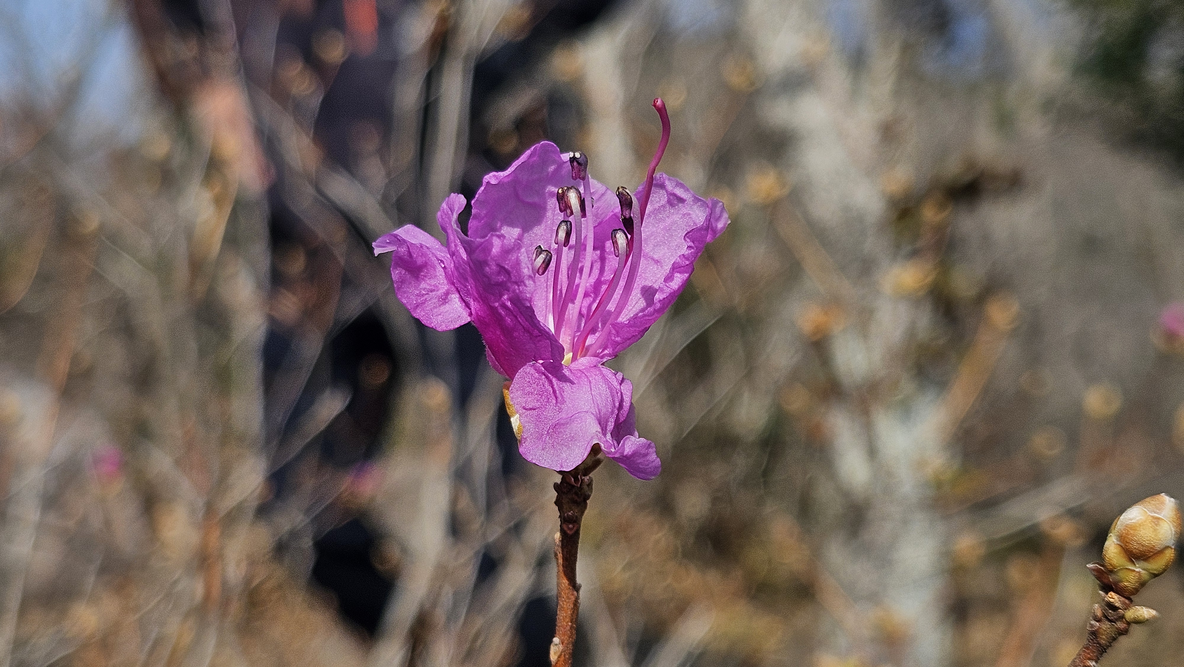 수고하신분들을 칭찬합니다. 첨부#3